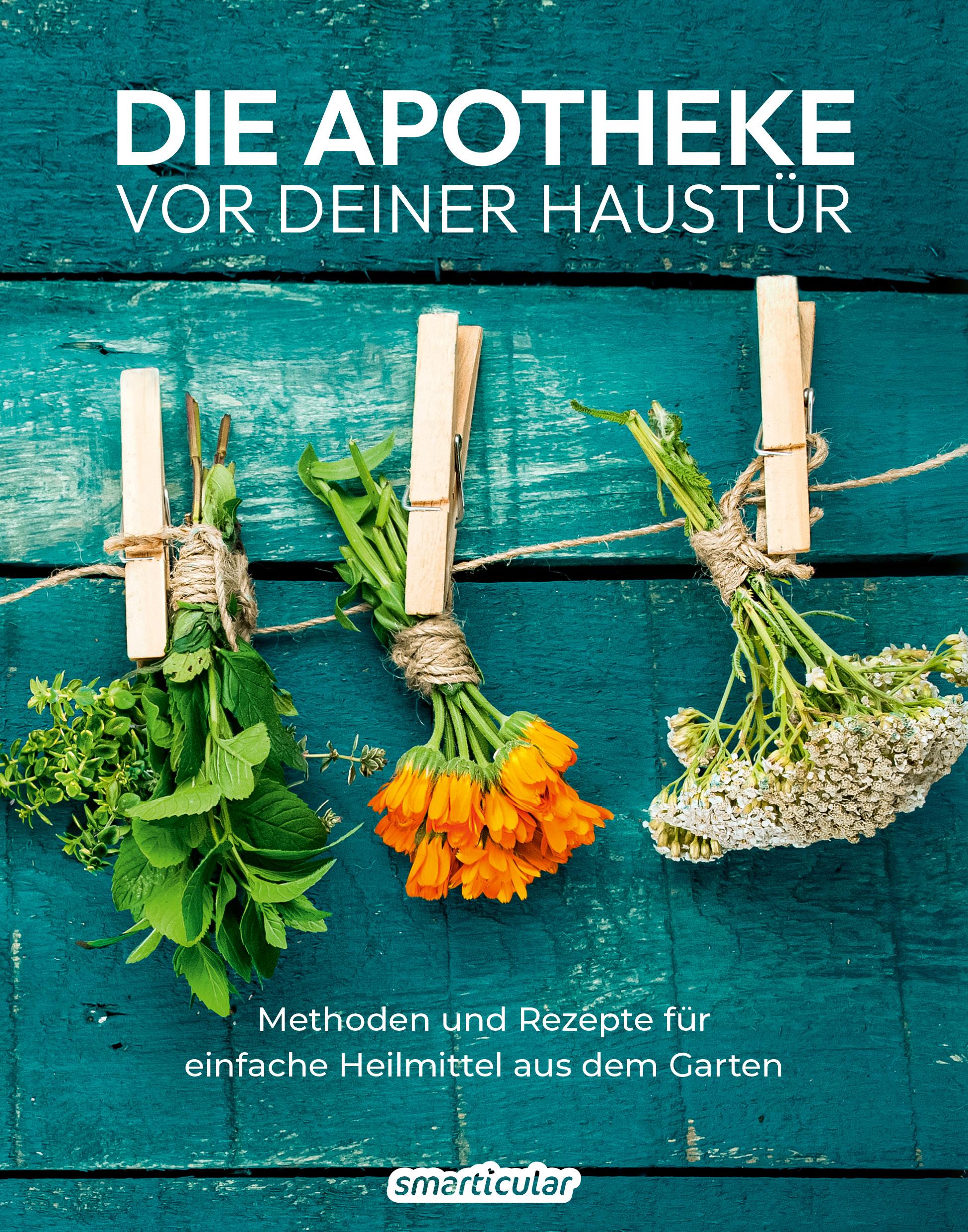 Vorderes Coverbild Die Apotheke vor deiner Haustür