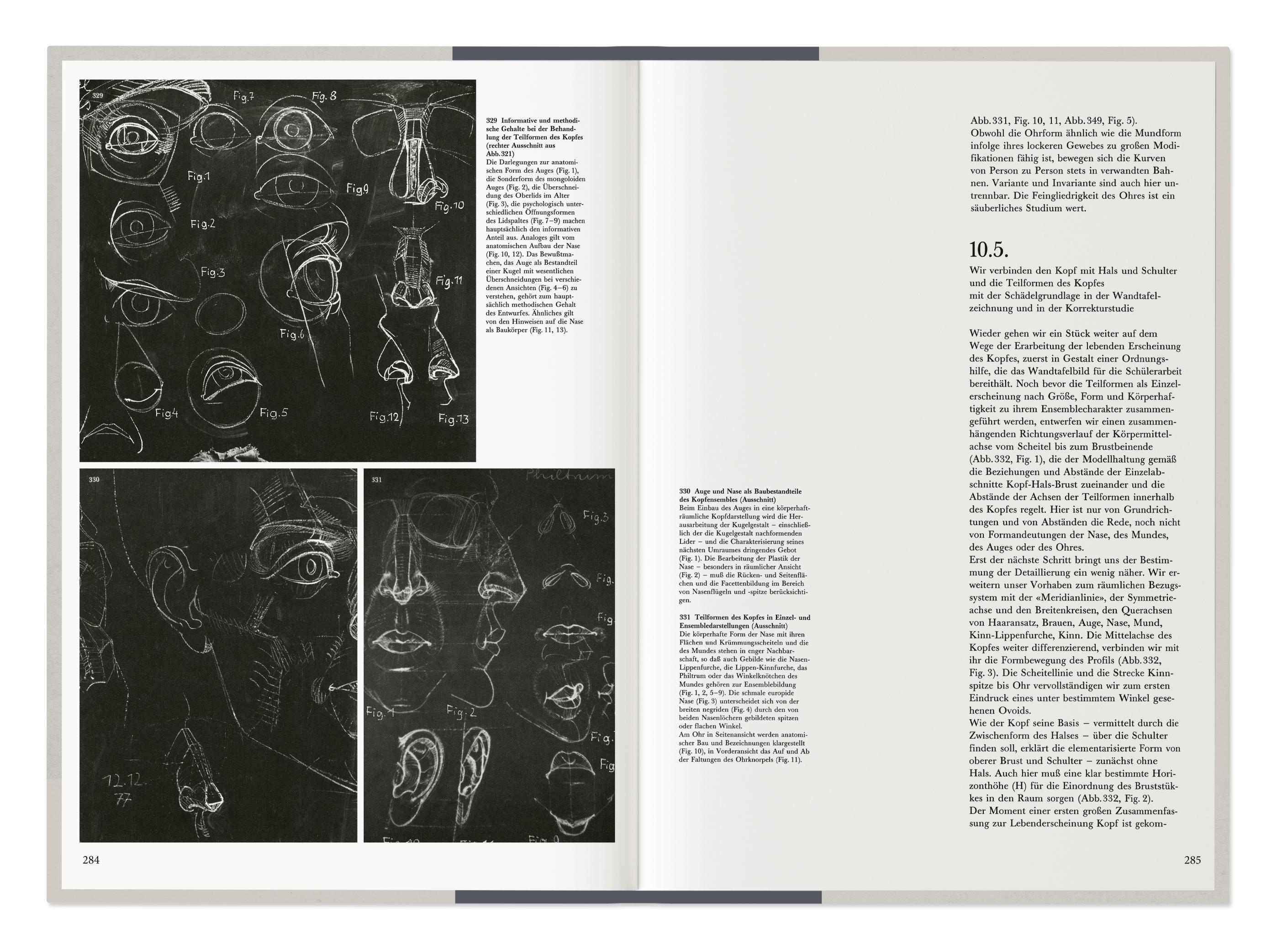 Beispielinhalt (Bild) Sehen und Verstehen