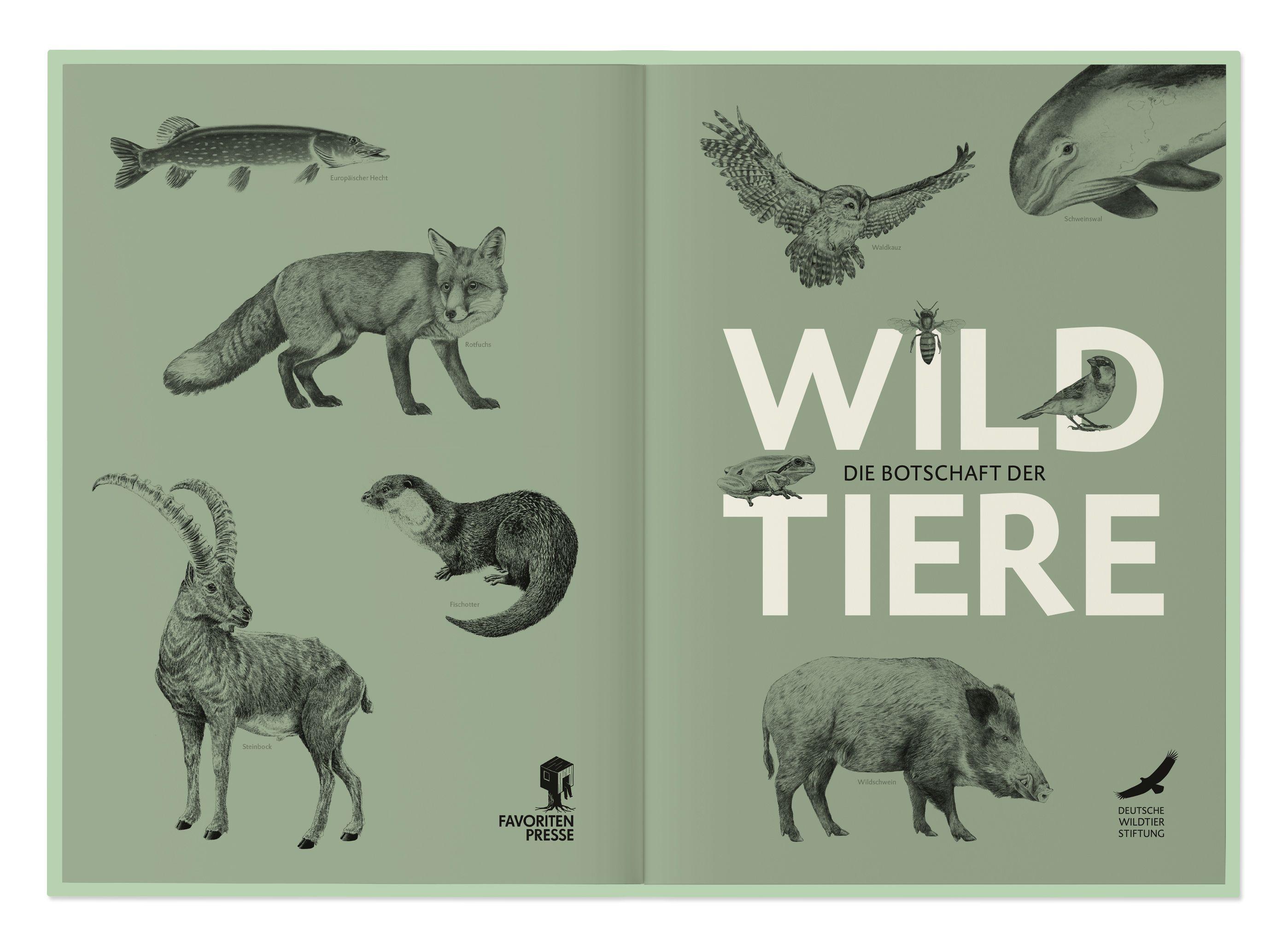 Beispielinhalt (Bild) Die Botschaft der Wildtiere