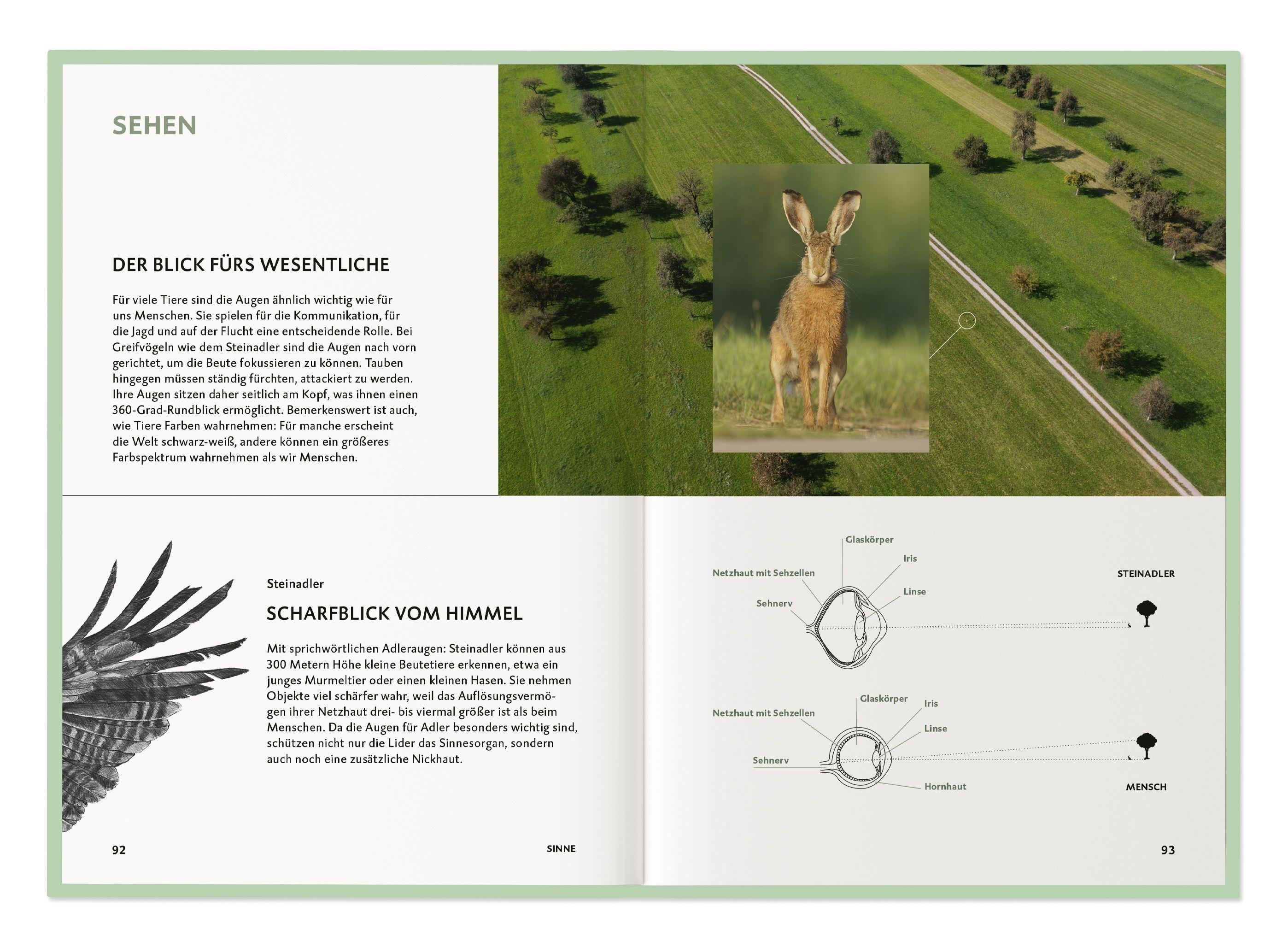 Beispielinhalt (Bild) Die Botschaft der Wildtiere