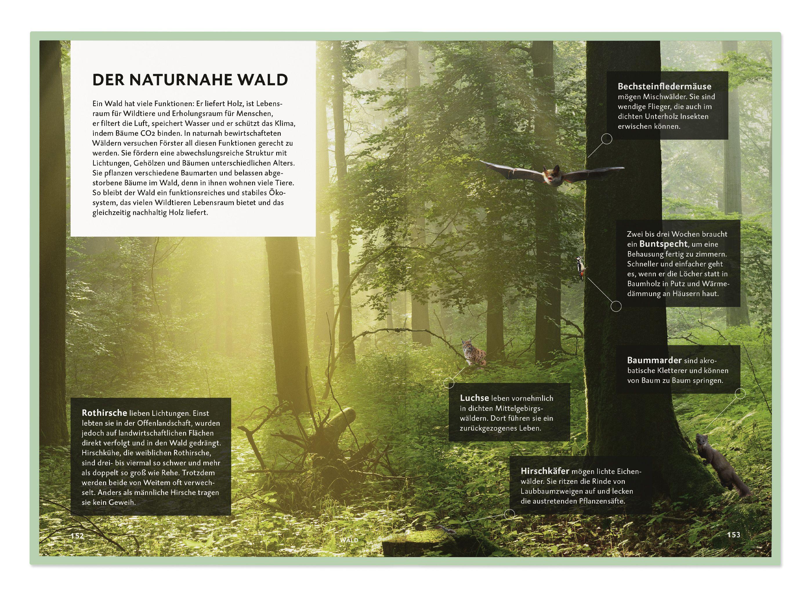 Beispielinhalt (Bild) Die Botschaft der Wildtiere