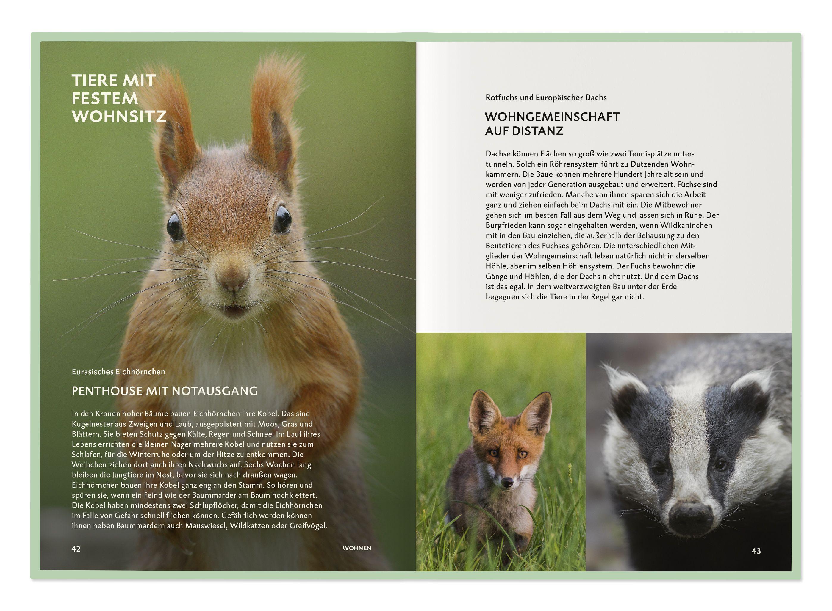 Beispielinhalt (Bild) Die Botschaft der Wildtiere