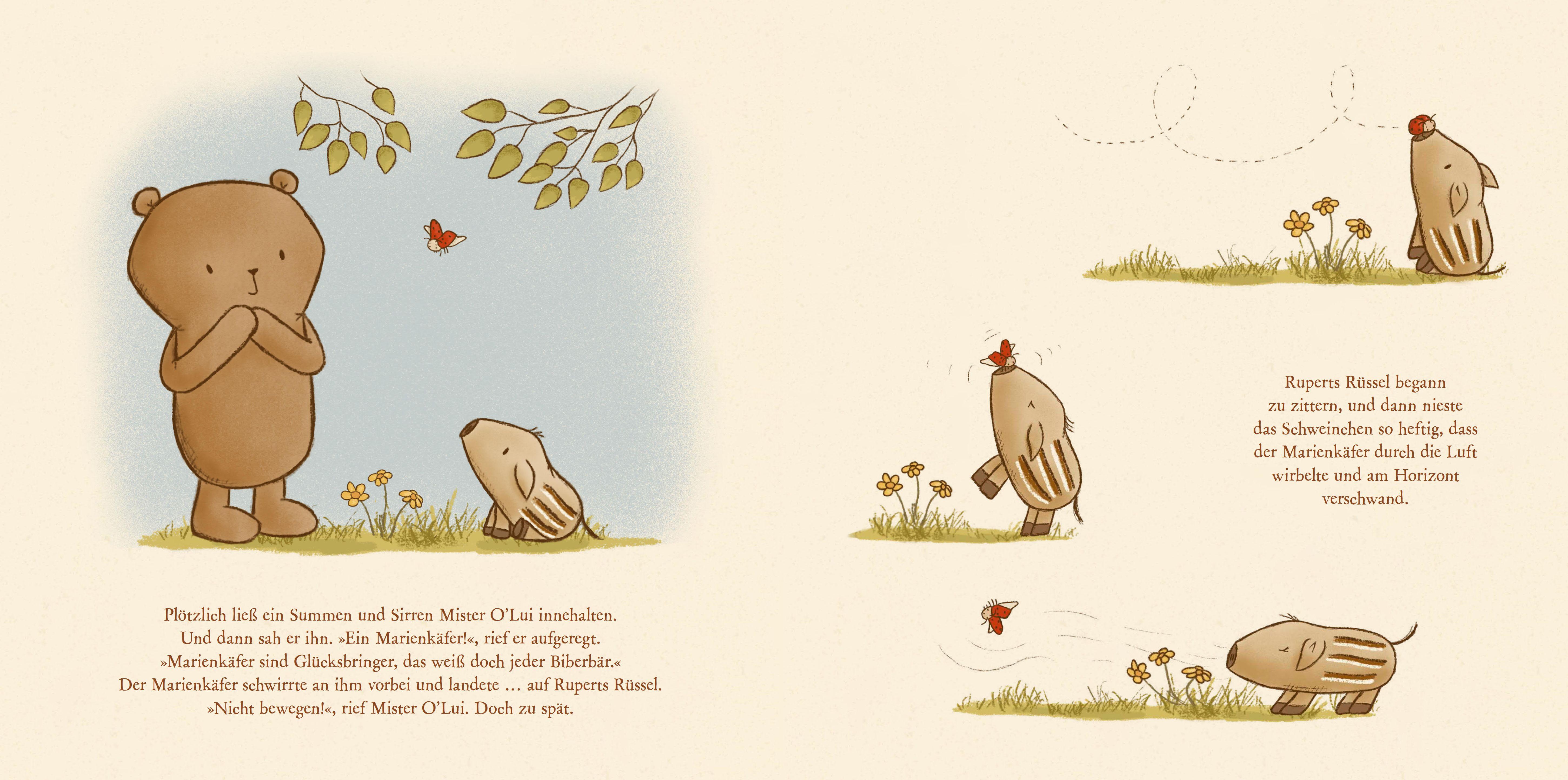 Beispielinhalt (Bild) Mister O'Lui sucht das Glück