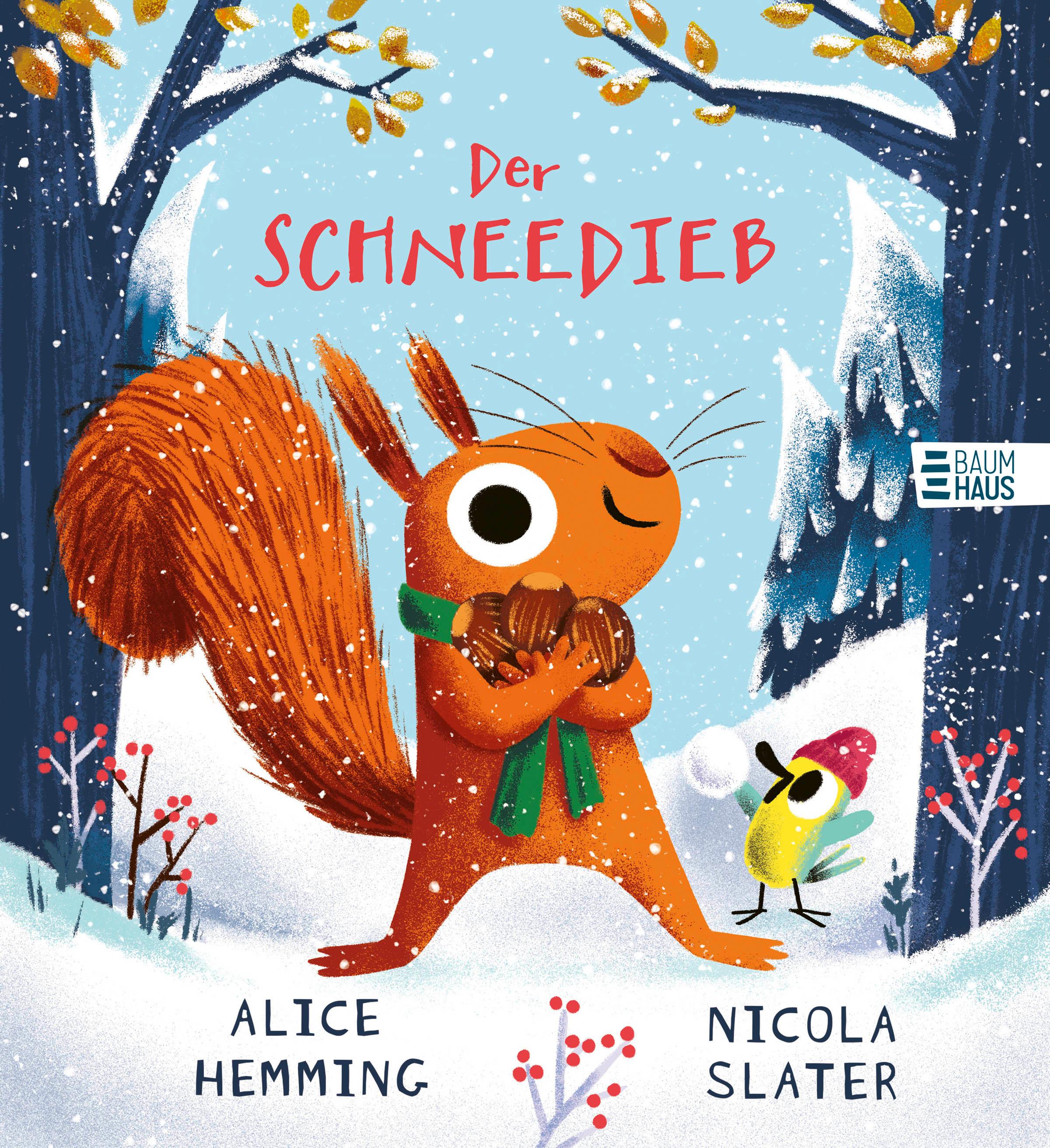 Vorderes Coverbild Der Schneedieb