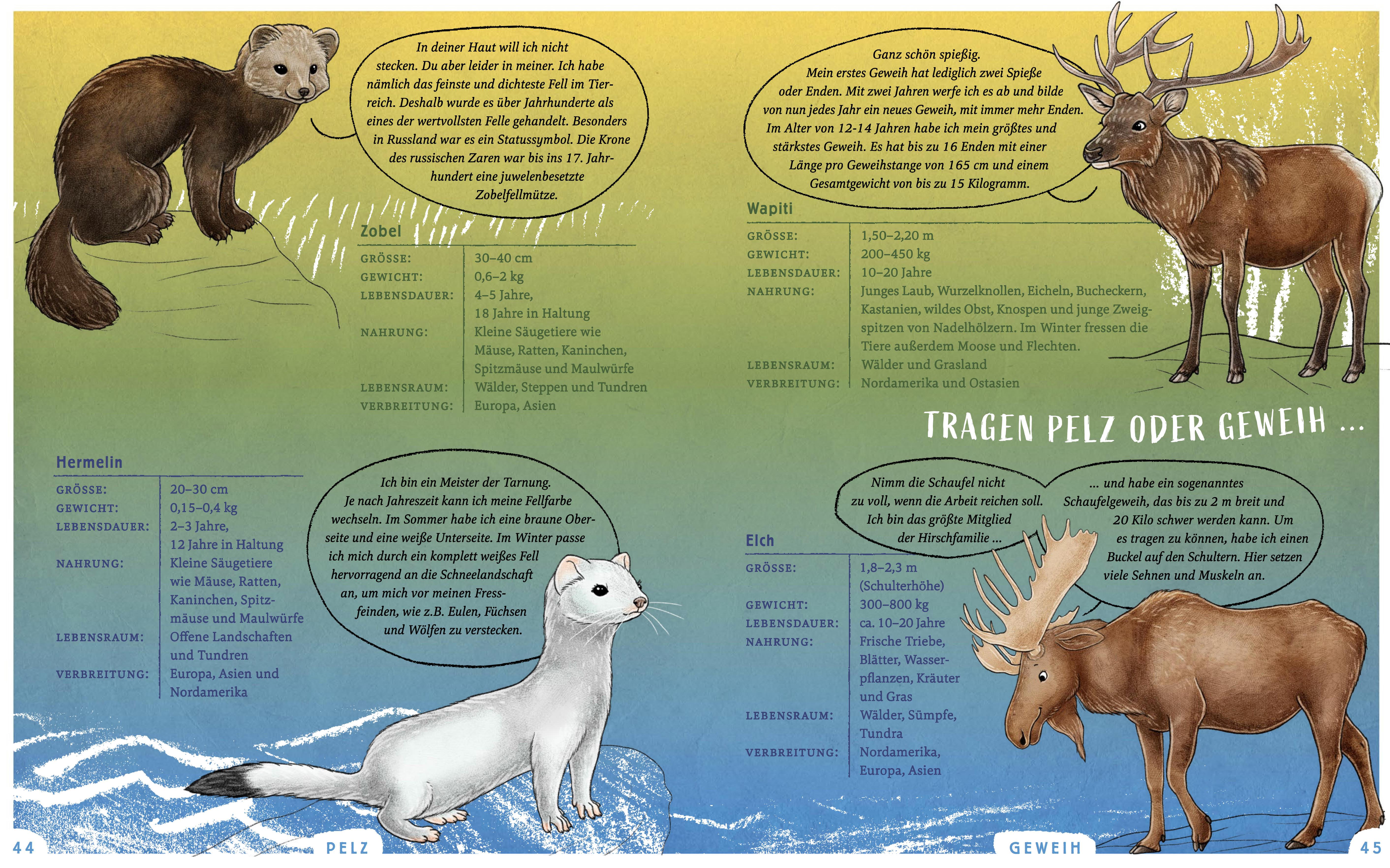 Beispielinhalt (Bild) Wir sind die Tiere des Waldes