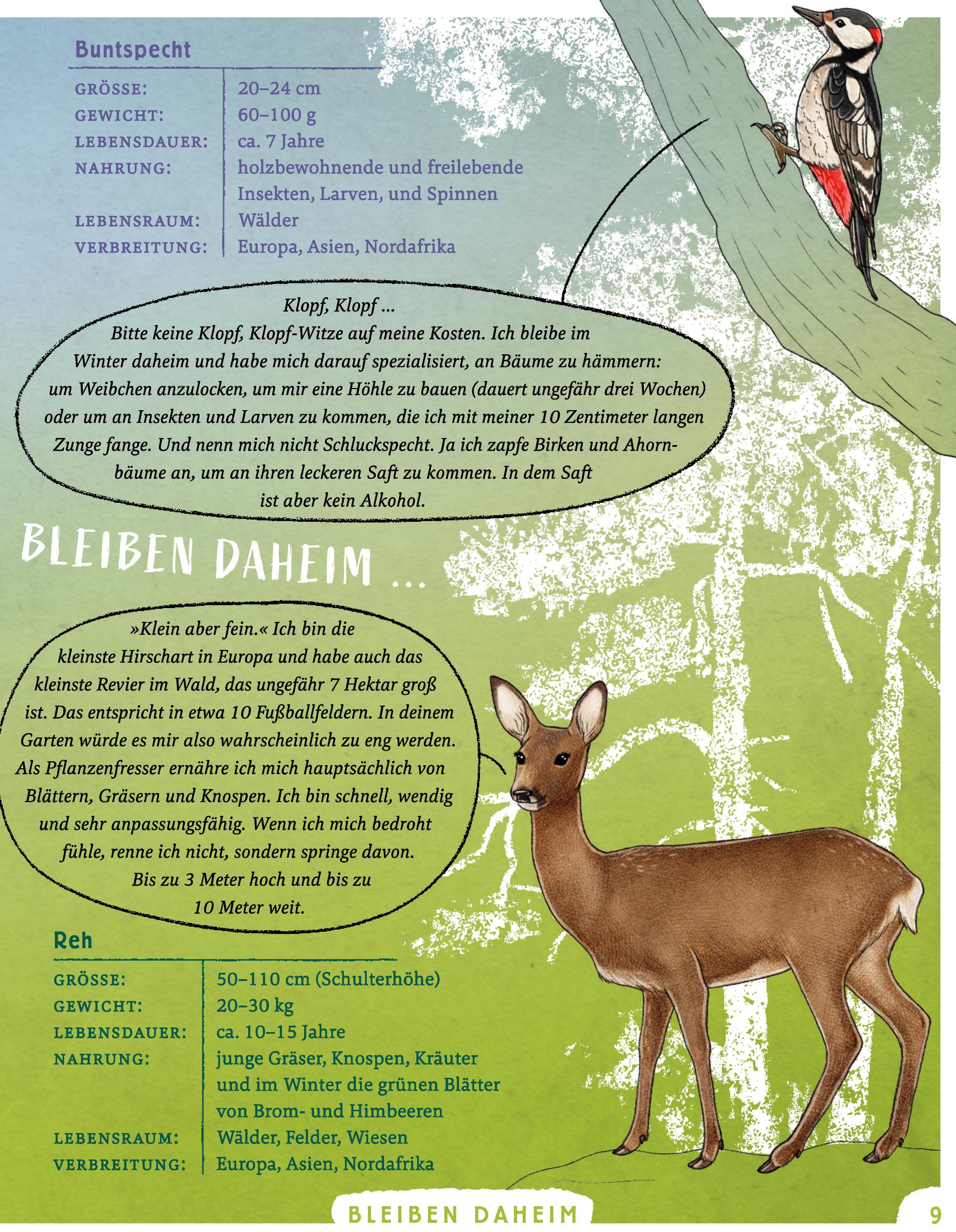 Beispielinhalt (Bild) Wir sind die Tiere des Waldes