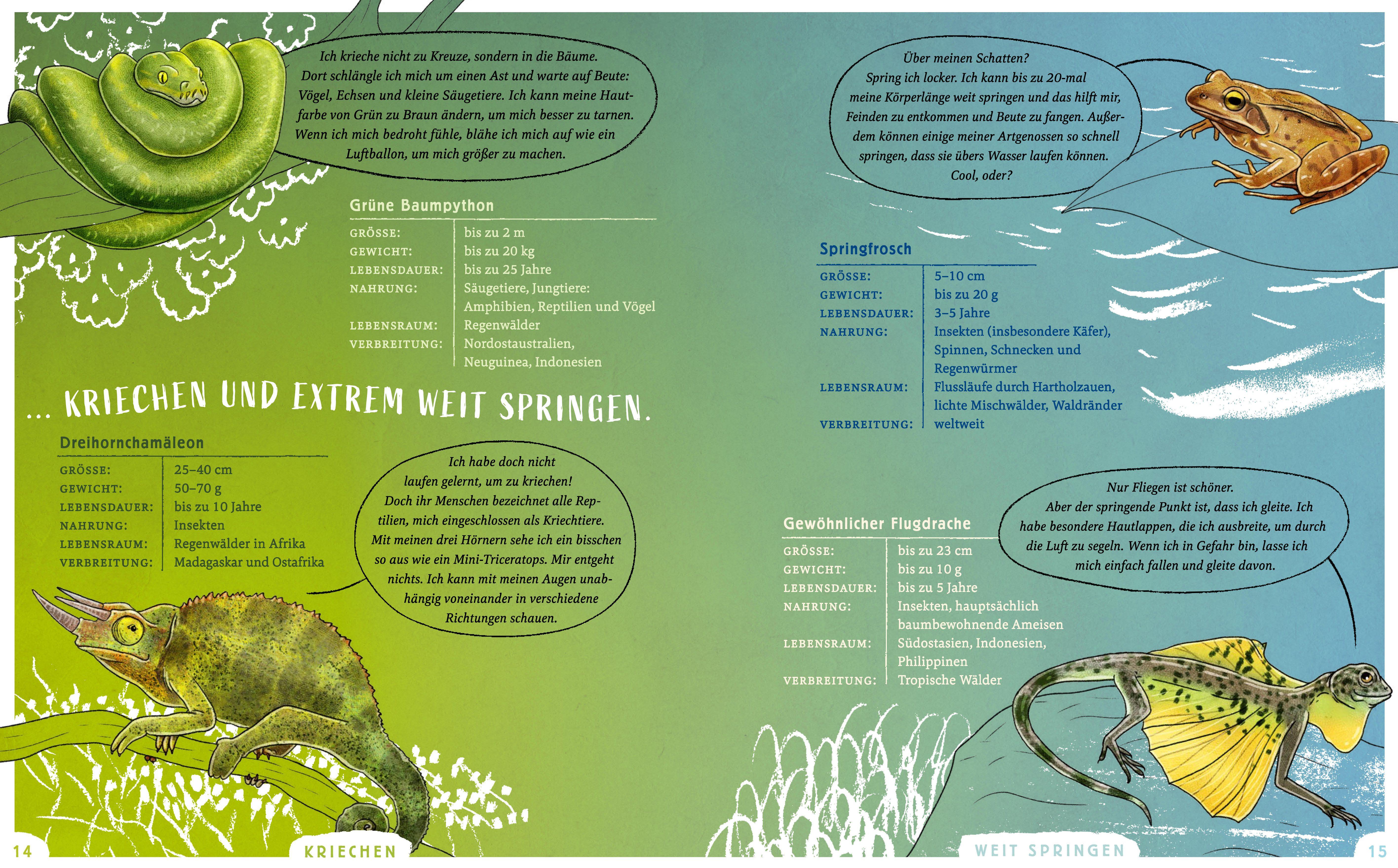 Beispielinhalt (Bild) Wir sind die Tiere des Waldes