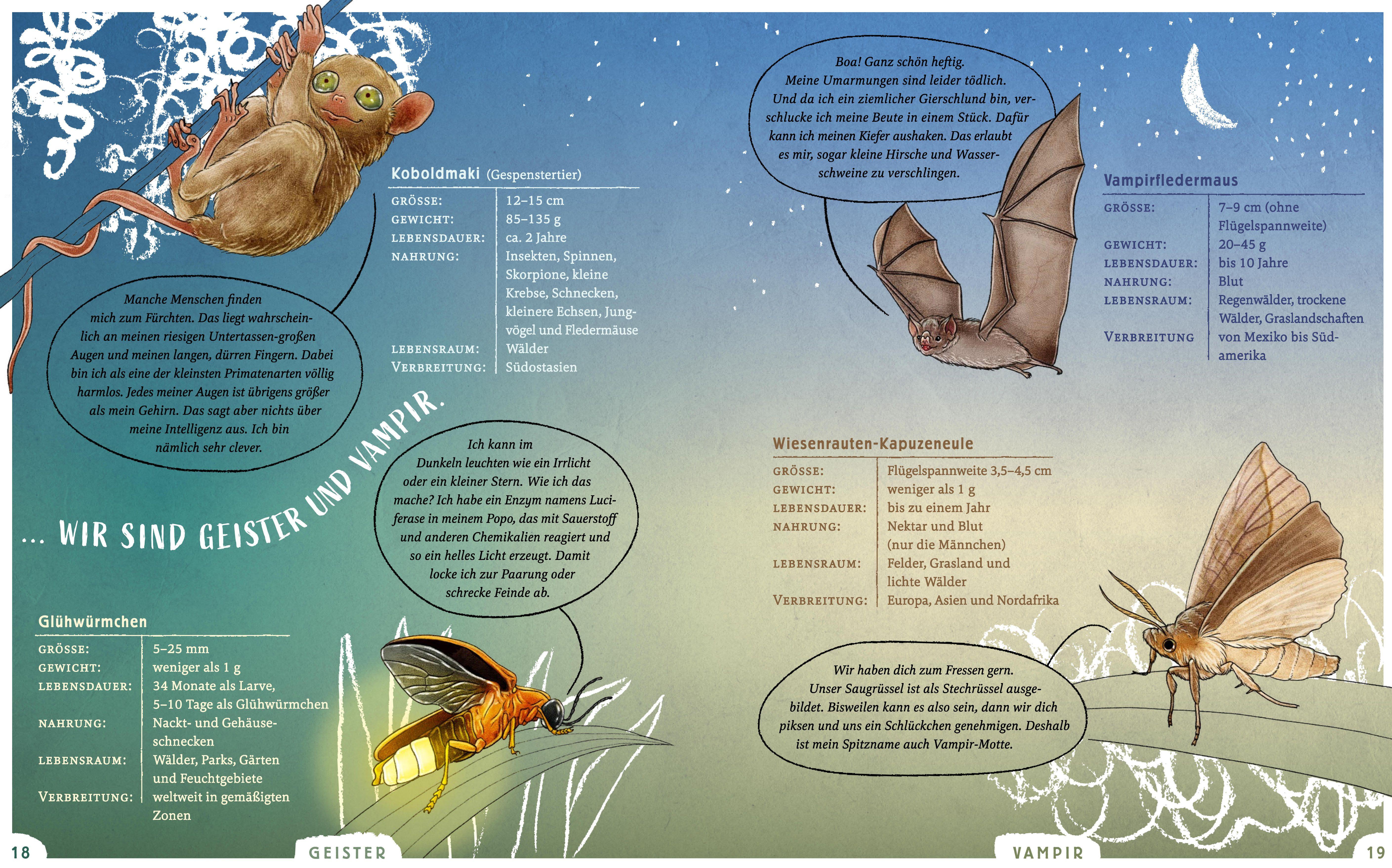 Beispielinhalt (Bild) Wir sind die Tiere des Waldes