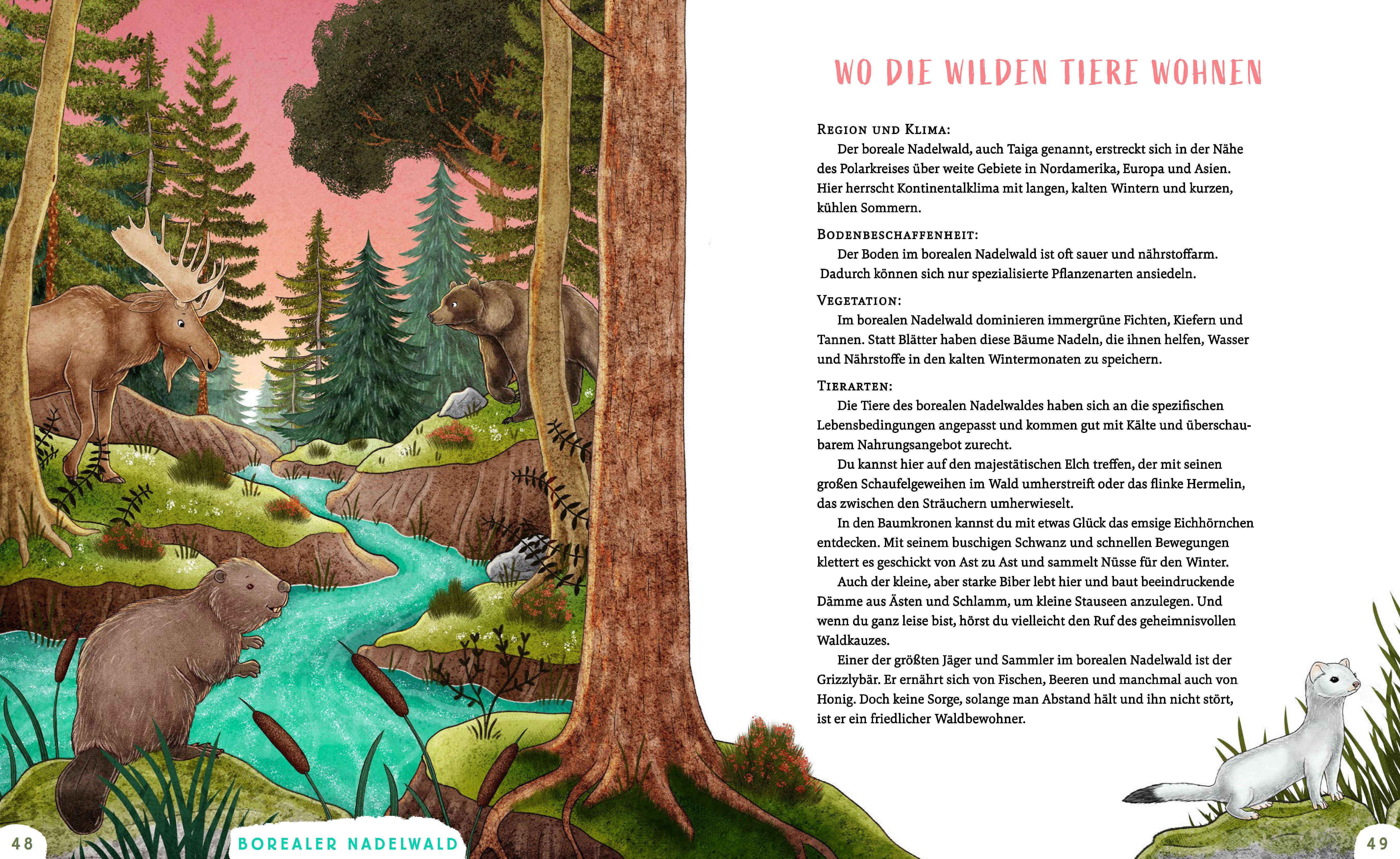 Beispielinhalt (Bild) Wir sind die Tiere des Waldes