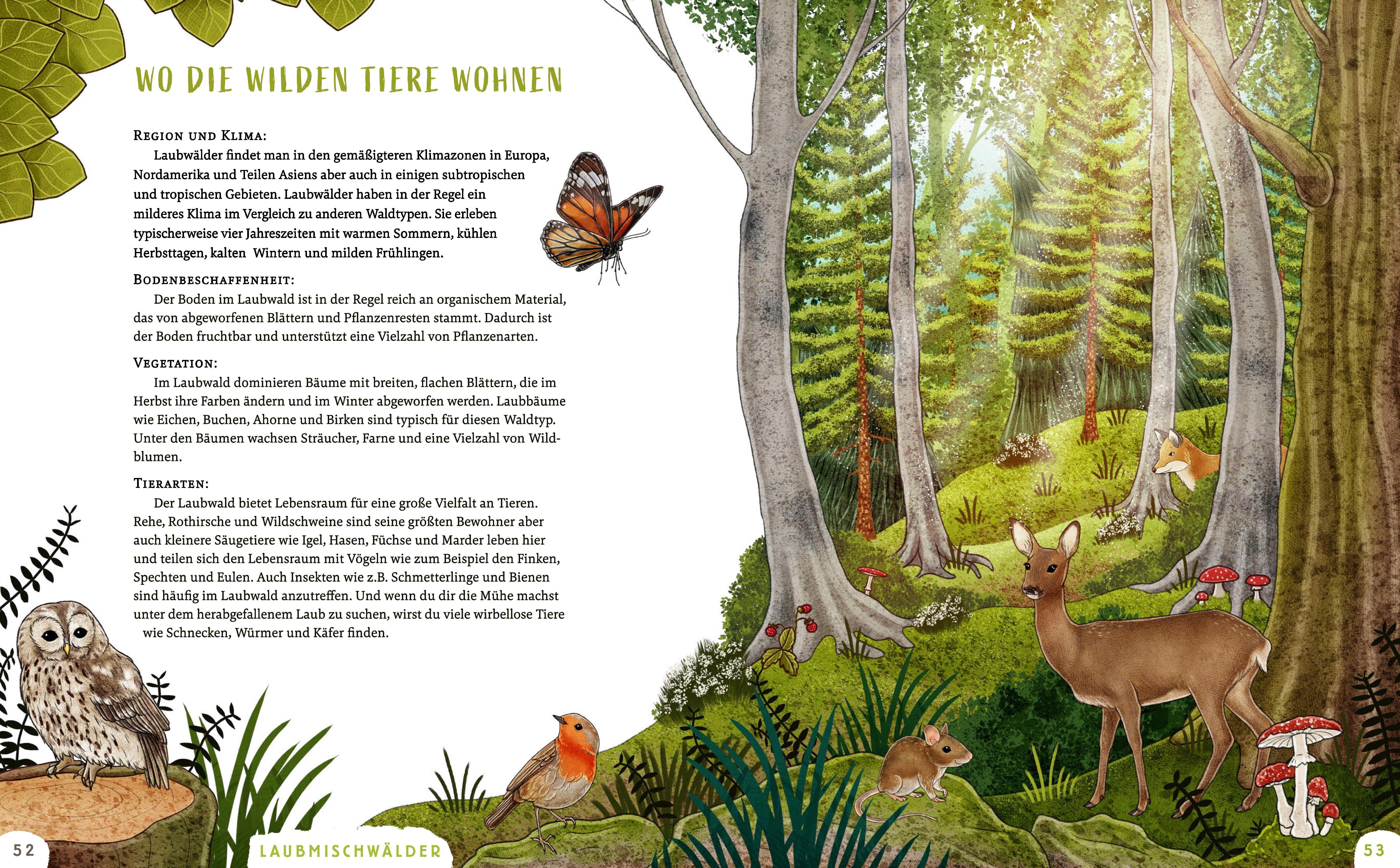 Beispielinhalt (Bild) Wir sind die Tiere des Waldes