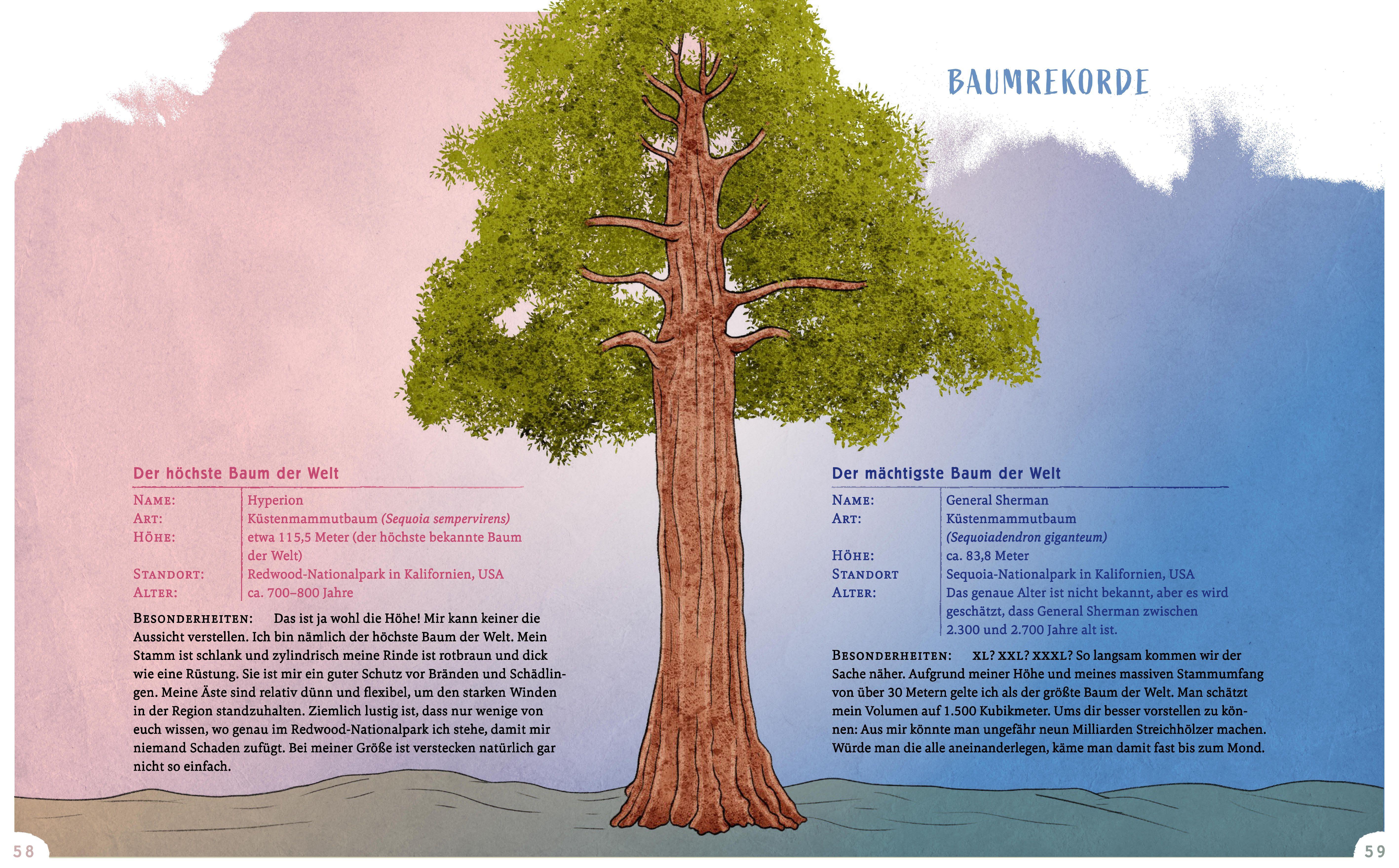 Beispielinhalt (Bild) Wir sind die Tiere des Waldes