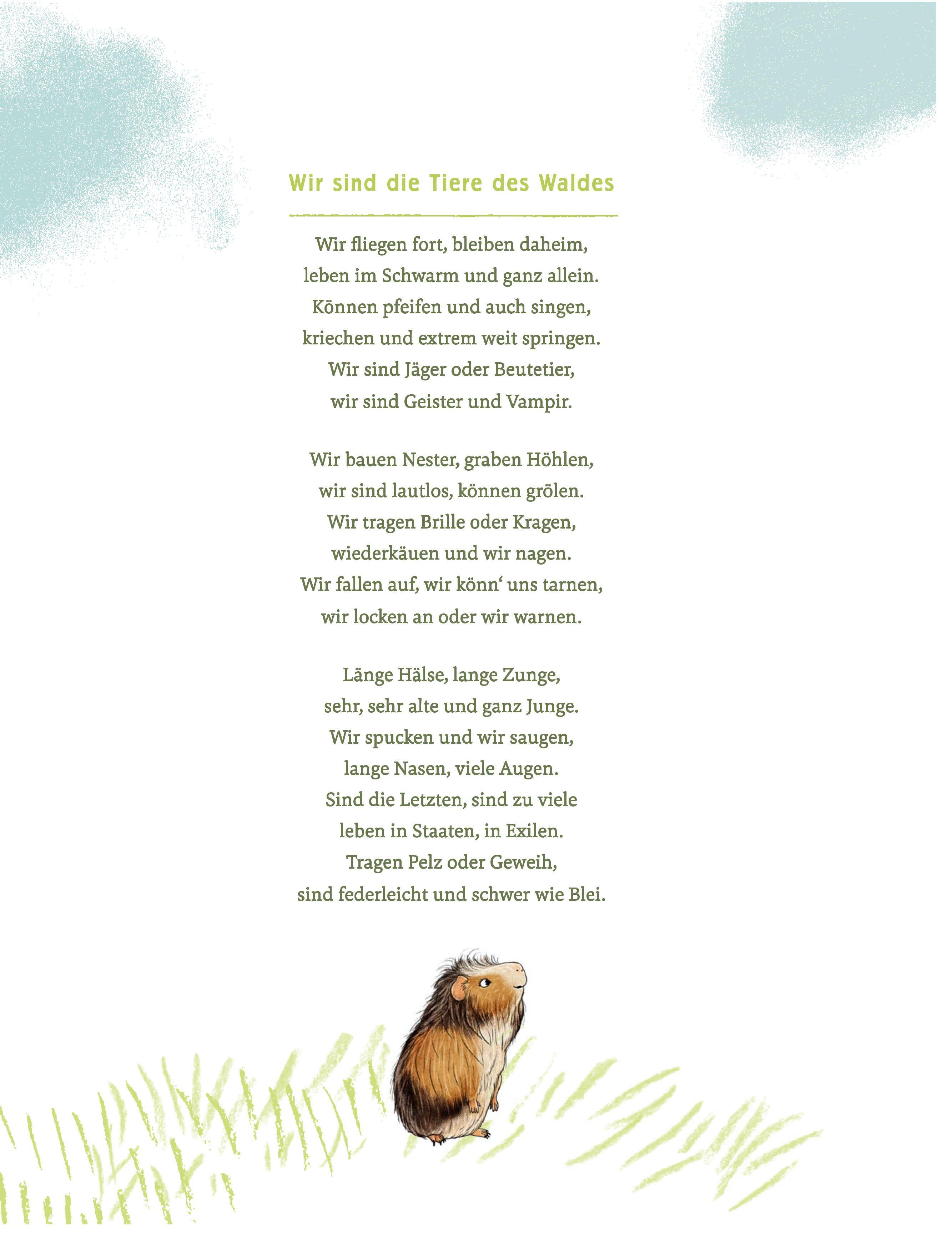 Beispielinhalt (Bild) Wir sind die Tiere des Waldes