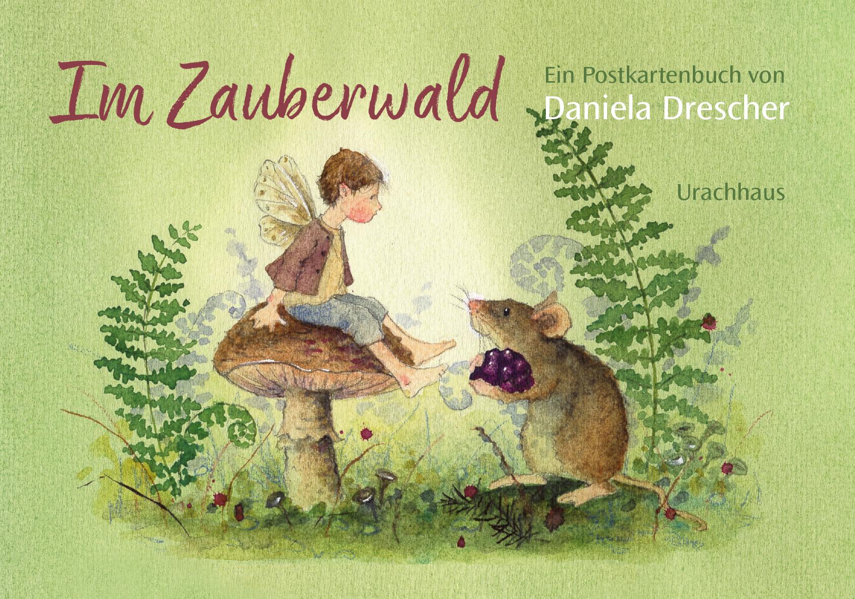 Vorderes Coverbild Postkartenbuch 'Im Zauberwald'