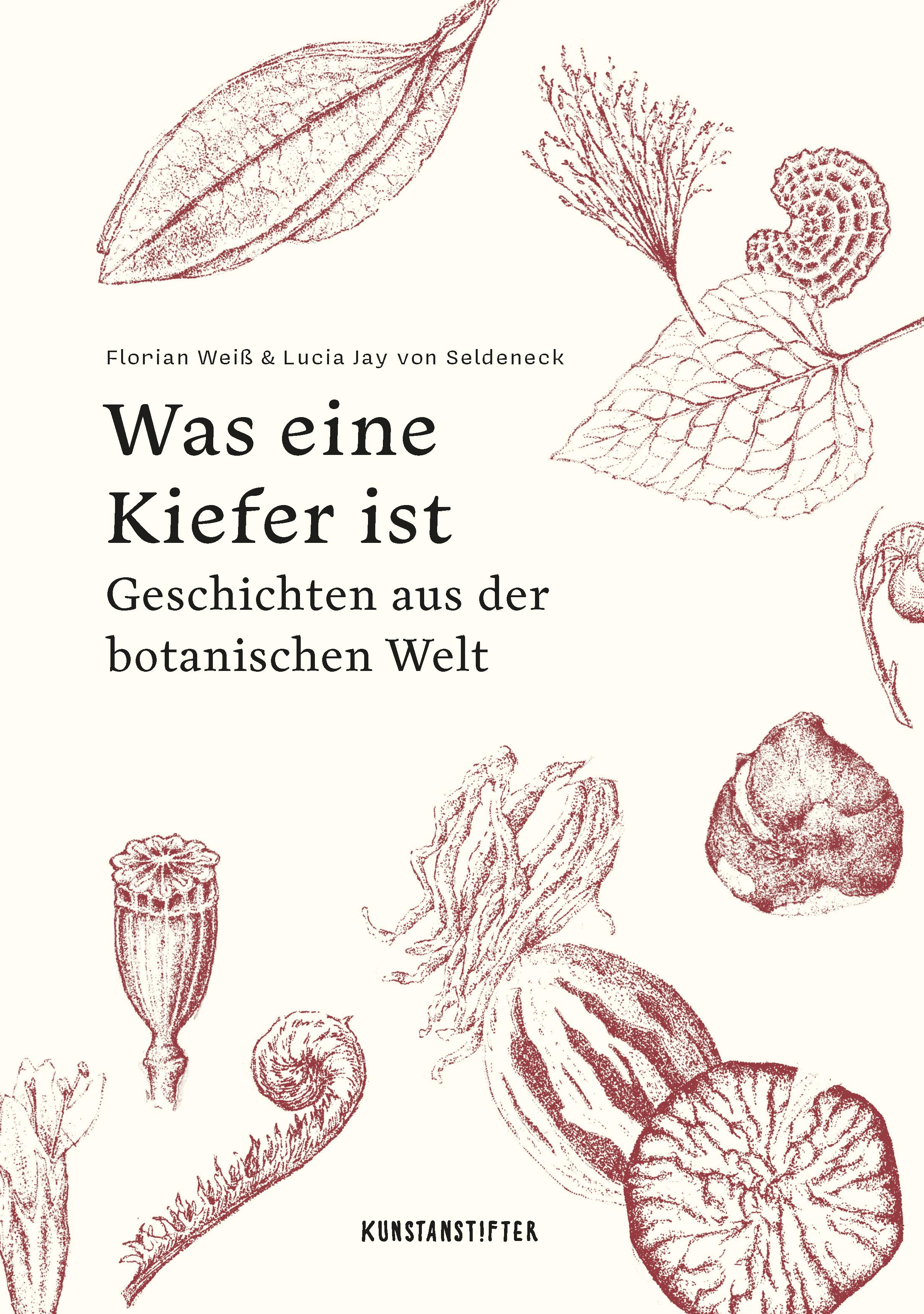 Vorderes Coverbild Was eine Kiefer ist