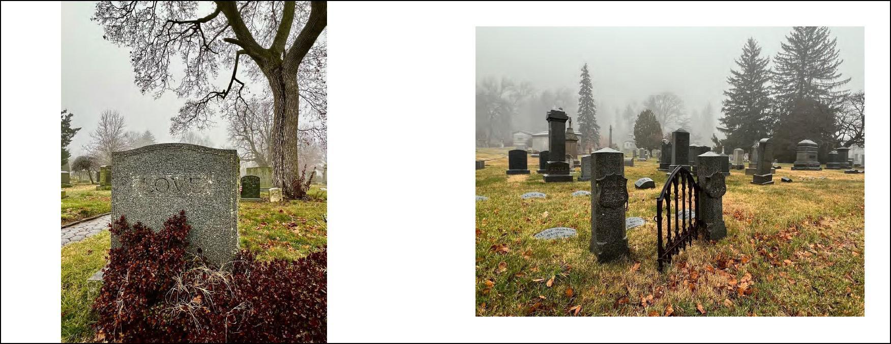 Beispielinhalt (Bild) Ode to a Cemetery