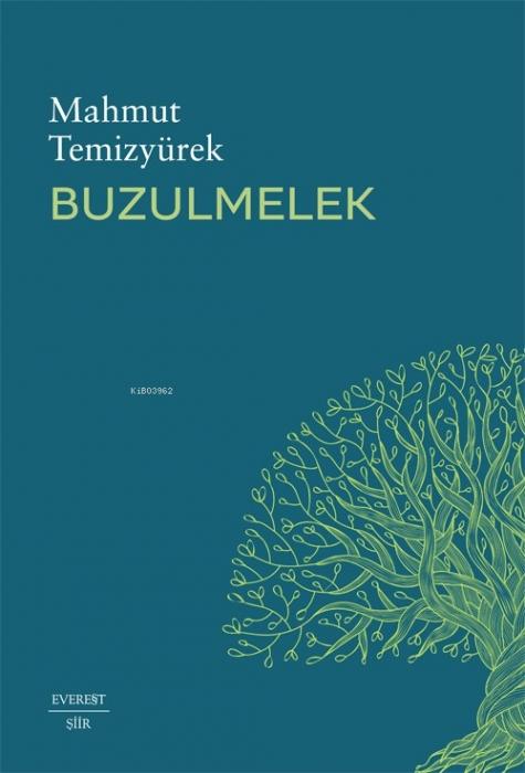 Vorderes Coverbild Buzulmelek