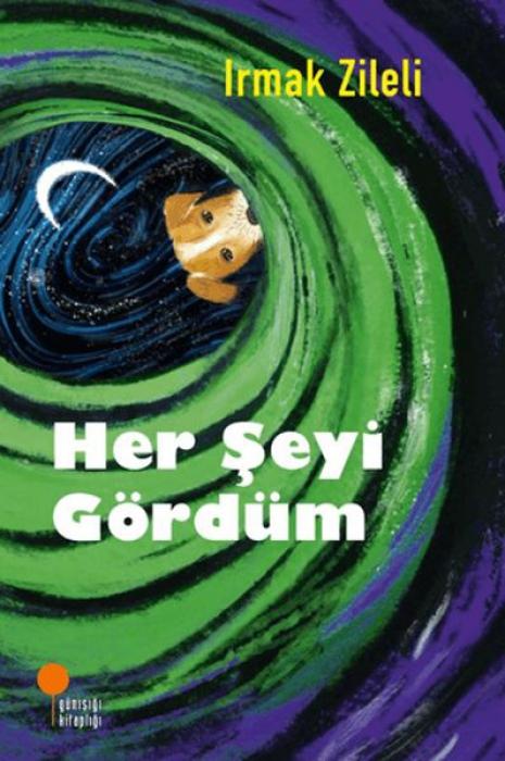 Vorderes Coverbild Her Seyi Gördüm