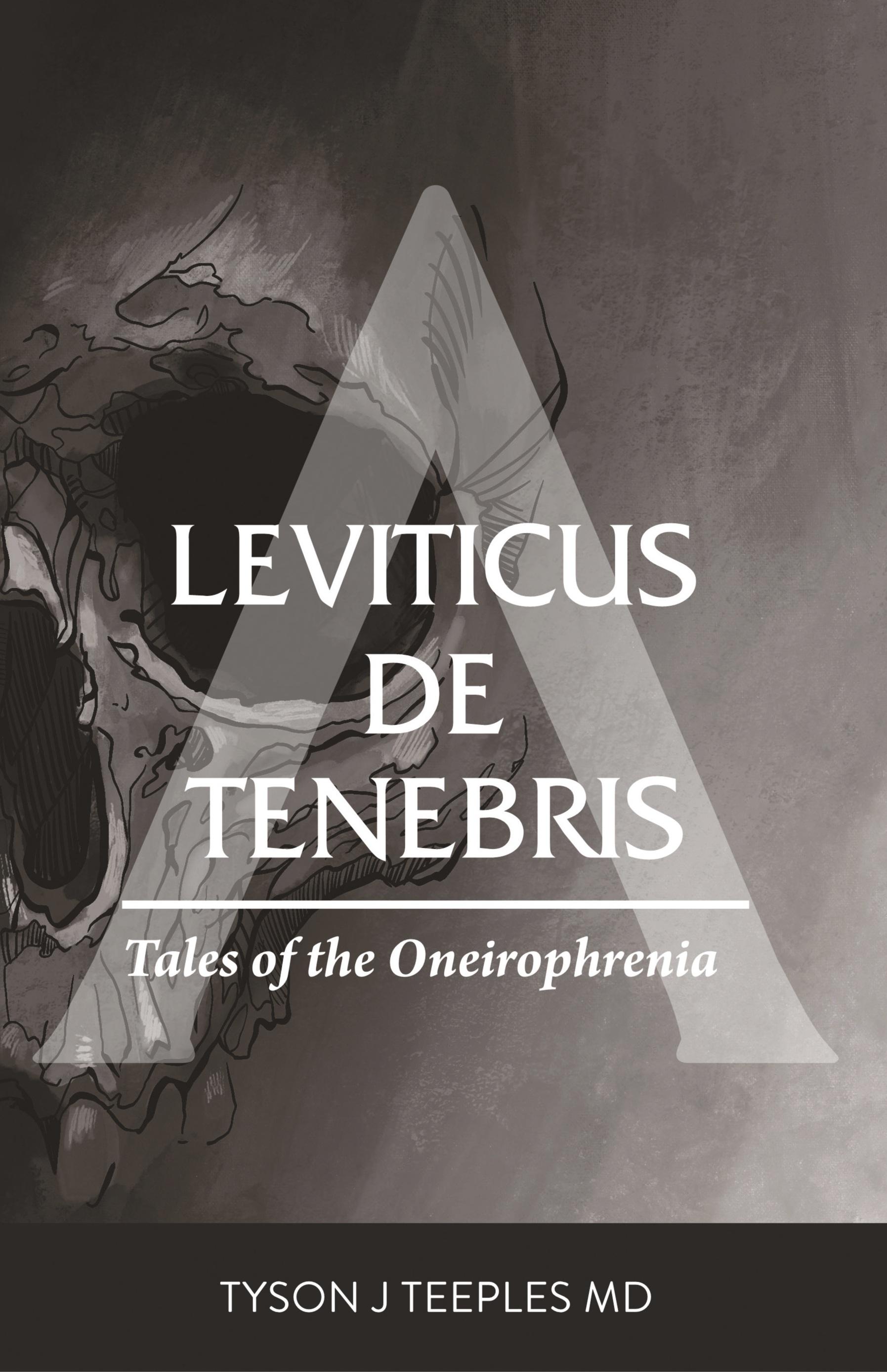Vorderes Coverbild Leviticus de Tenebris