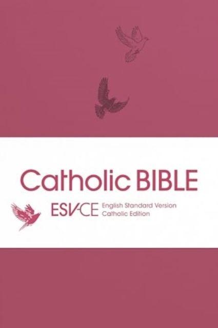 Vorderes Coverbild ESV-CE Catholic Bible. The Official Liturgical Bible for England, Wales and Scotland from Advent 24