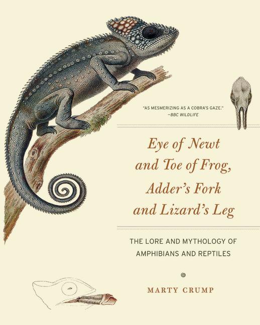 Vorderes Coverbild Eye of Newt and Toe of Frog, Adder's Fork and Lizard's Leg