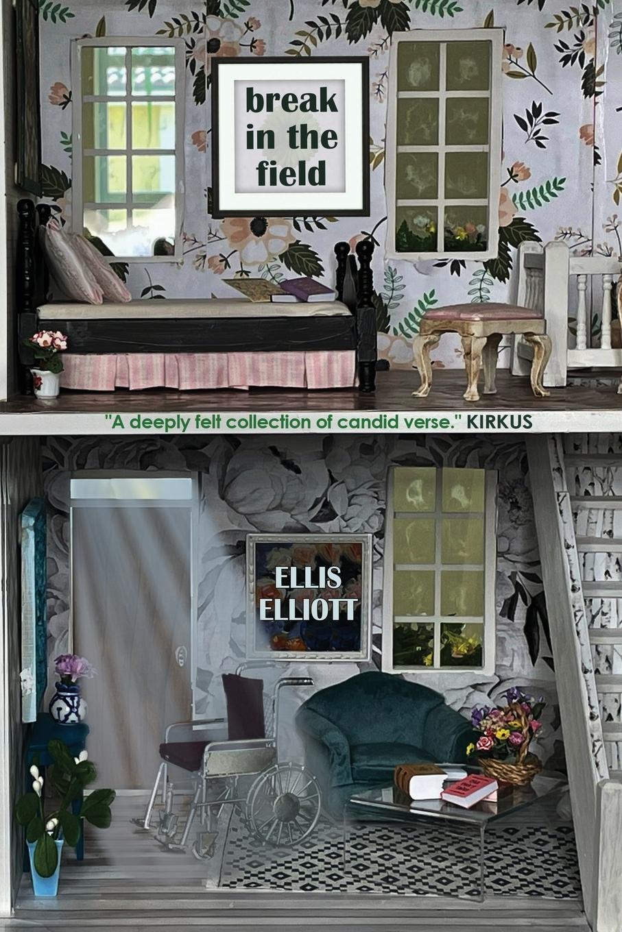 Vorderes Coverbild Break in the Field