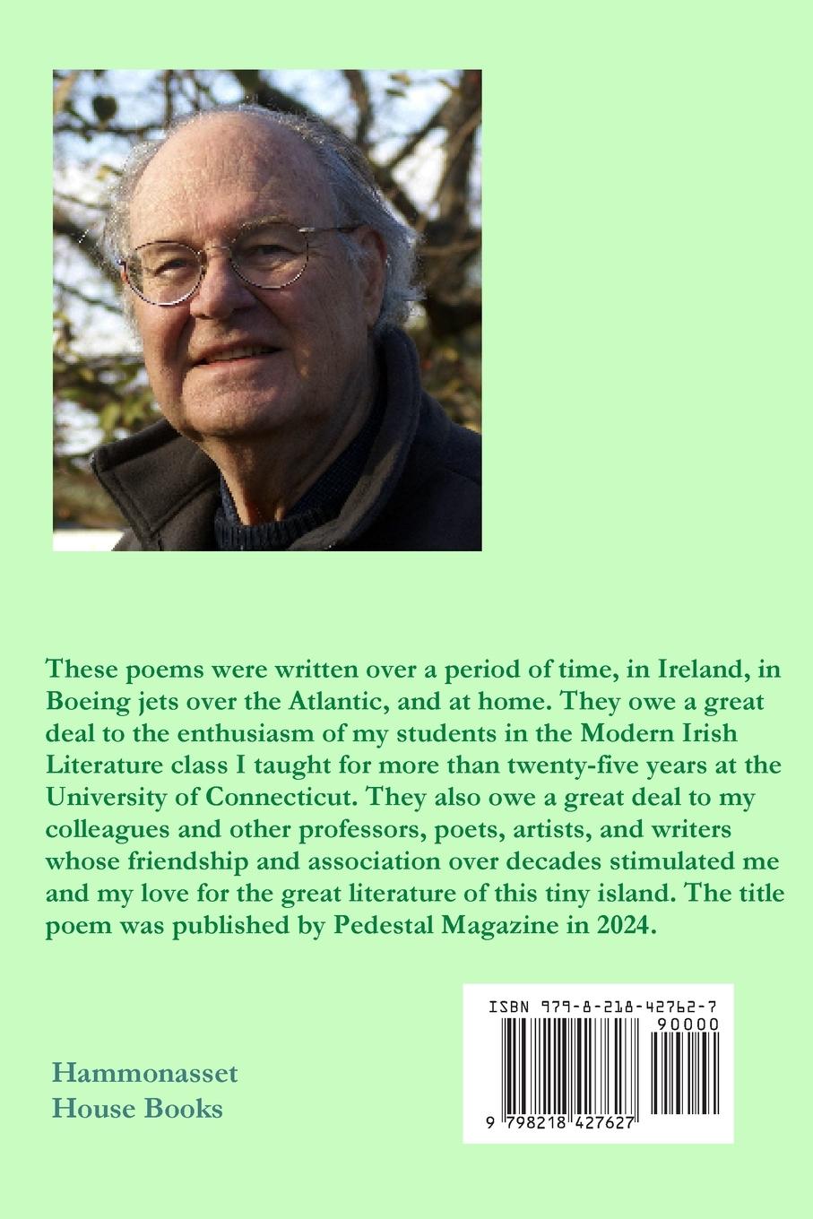 Rückseitencover In a Boneyard in Galway