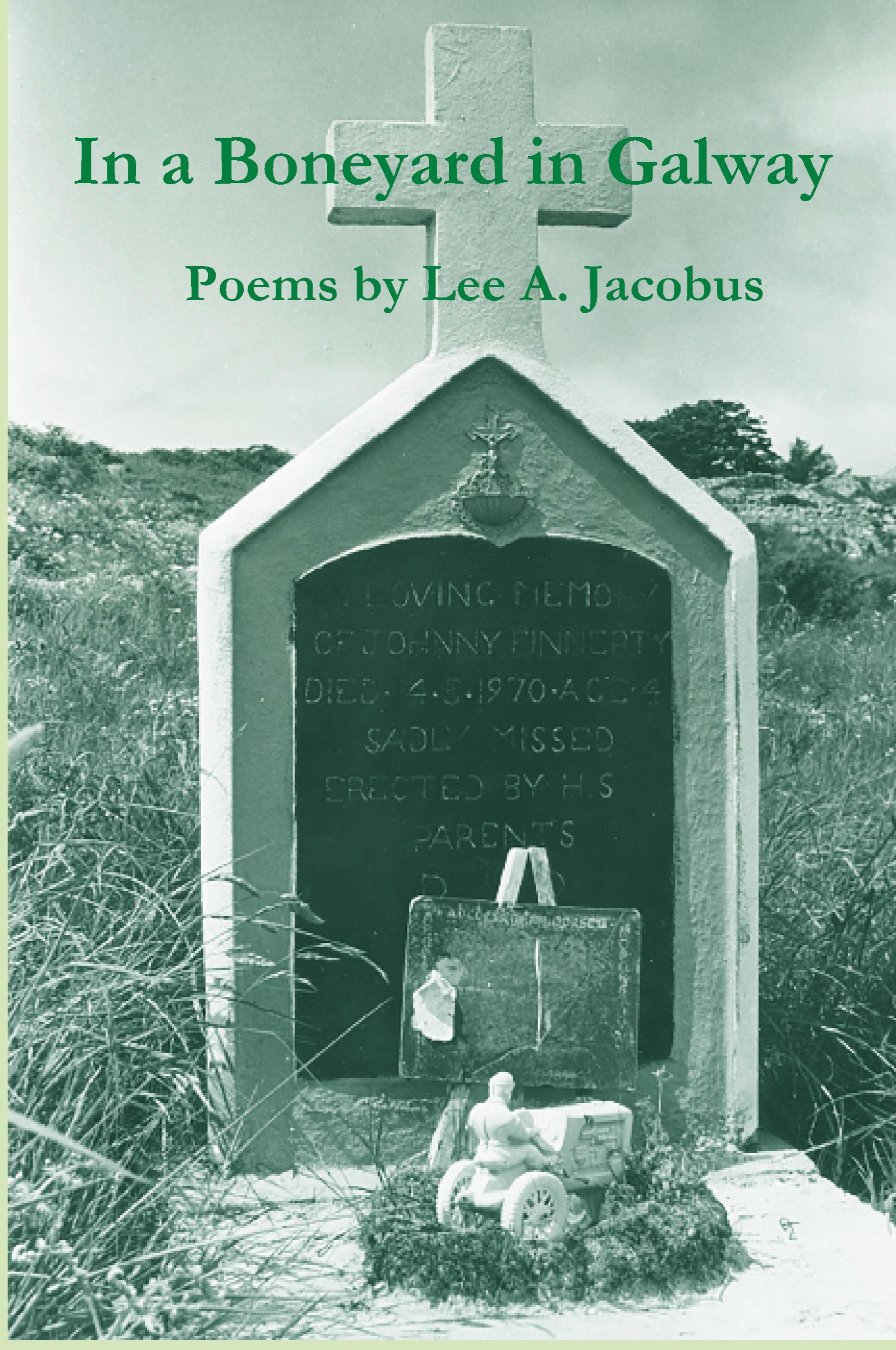 Vorderes Coverbild In a Boneyard in Galway