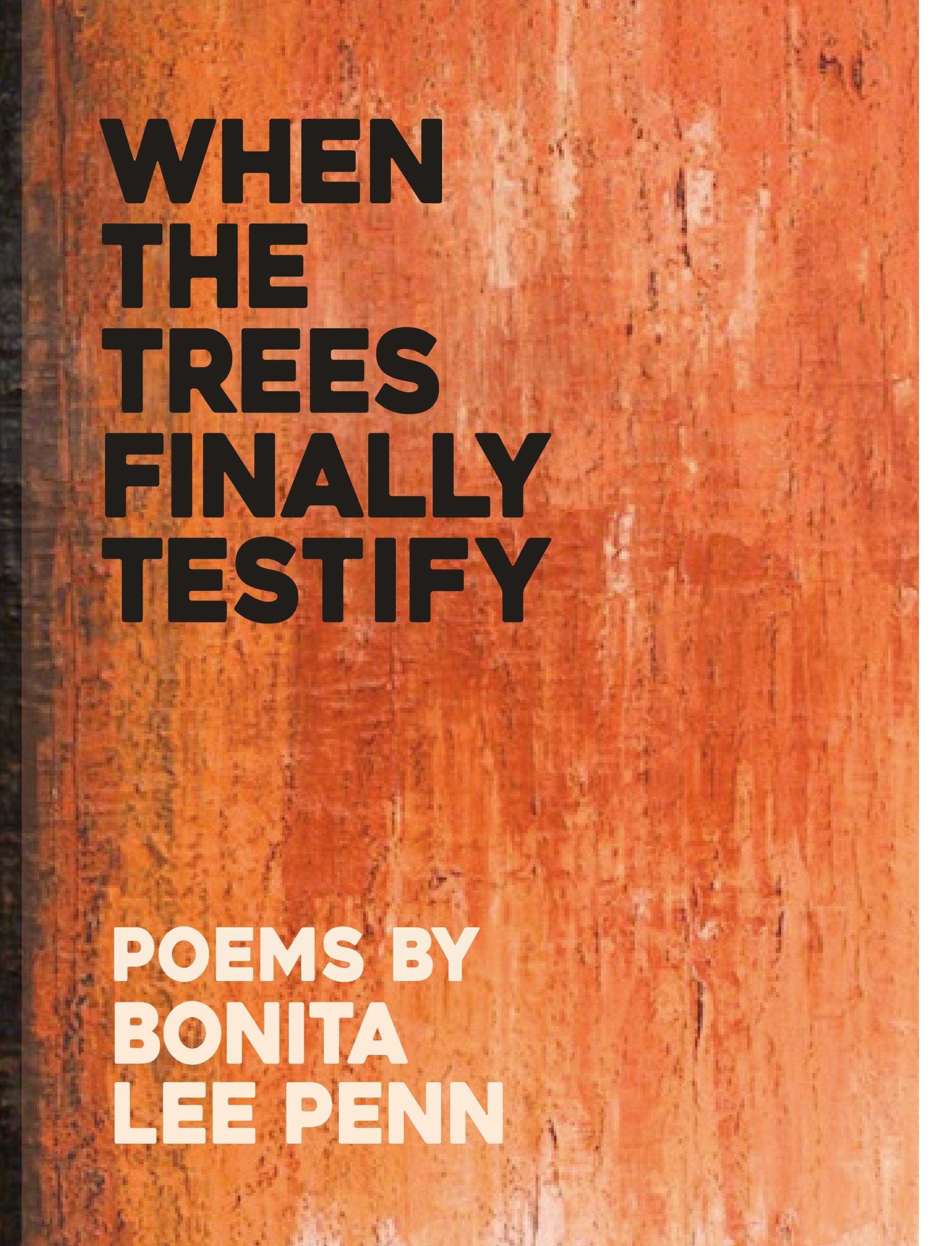 Vorderes Coverbild When the Trees Finally Testify