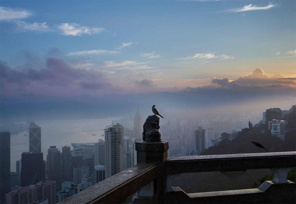 Beispielinhalt (Bild) Hongkong