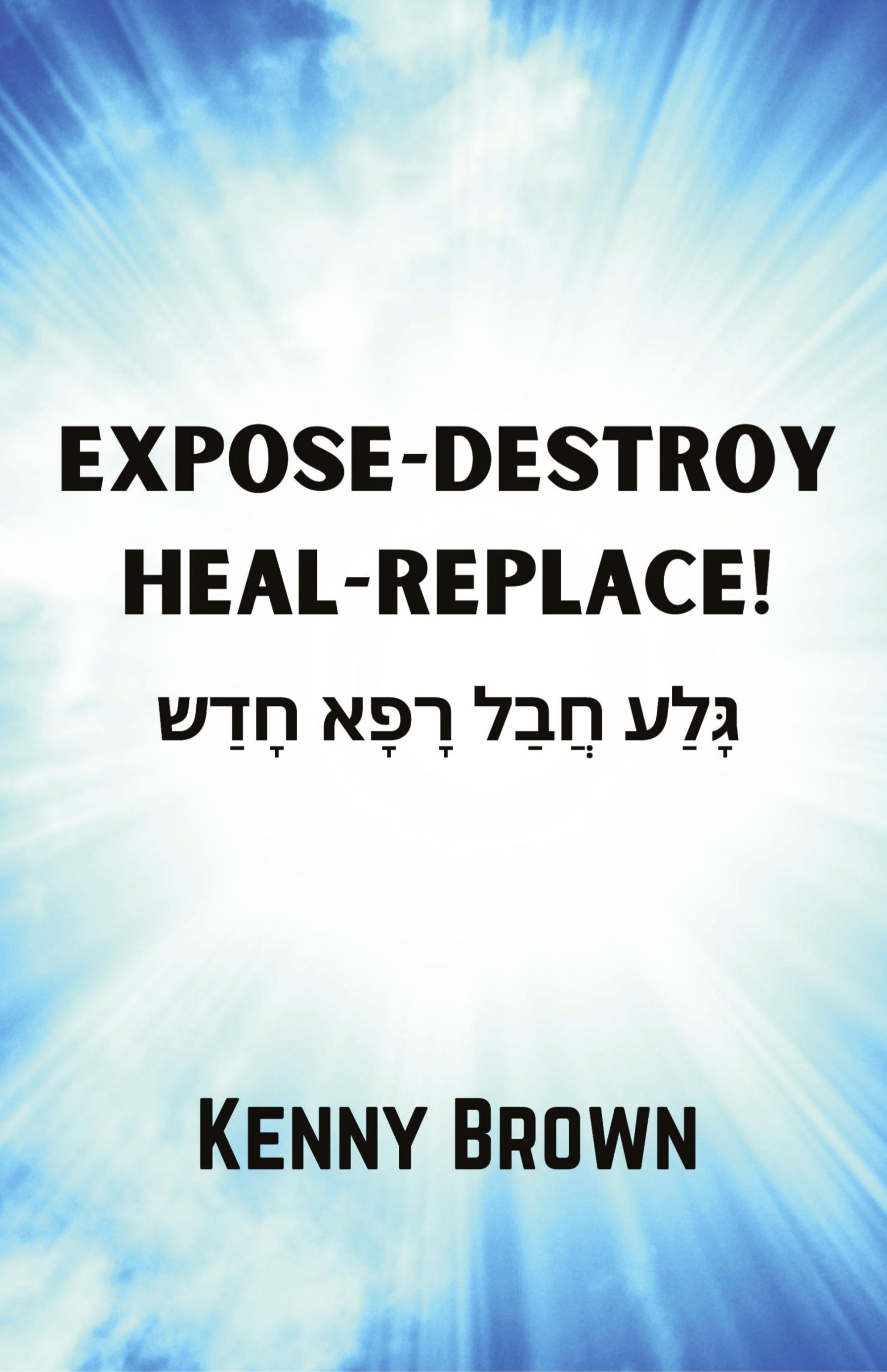 Vorderes Coverbild Expose-Destroy- Heal- Replace!