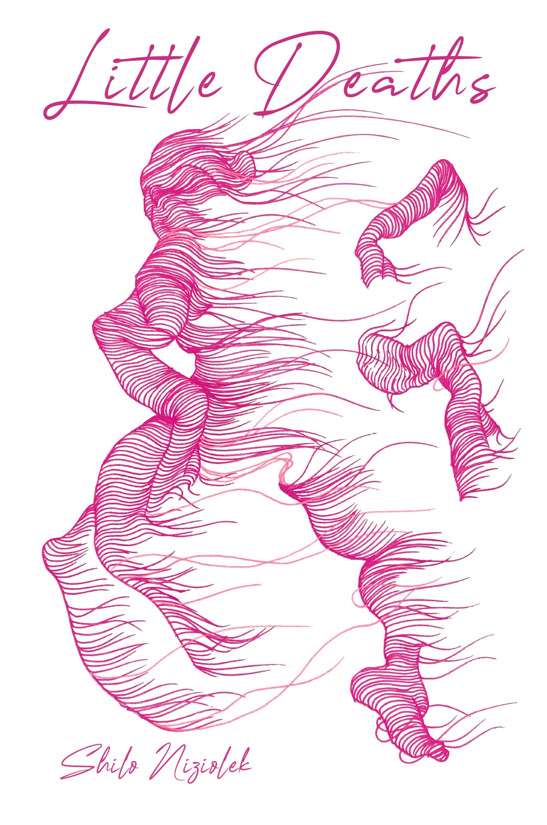 Vorderes Coverbild Little Deaths