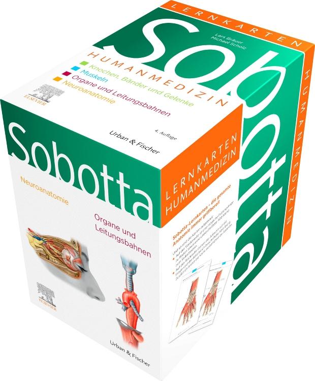 Vorderes Coverbild Sobotta Lernkarten Anatomie für die Humanmedizin