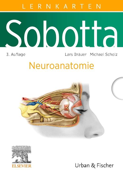 Vorderes Coverbild Sobotta Lernkarten Neuroanatomie