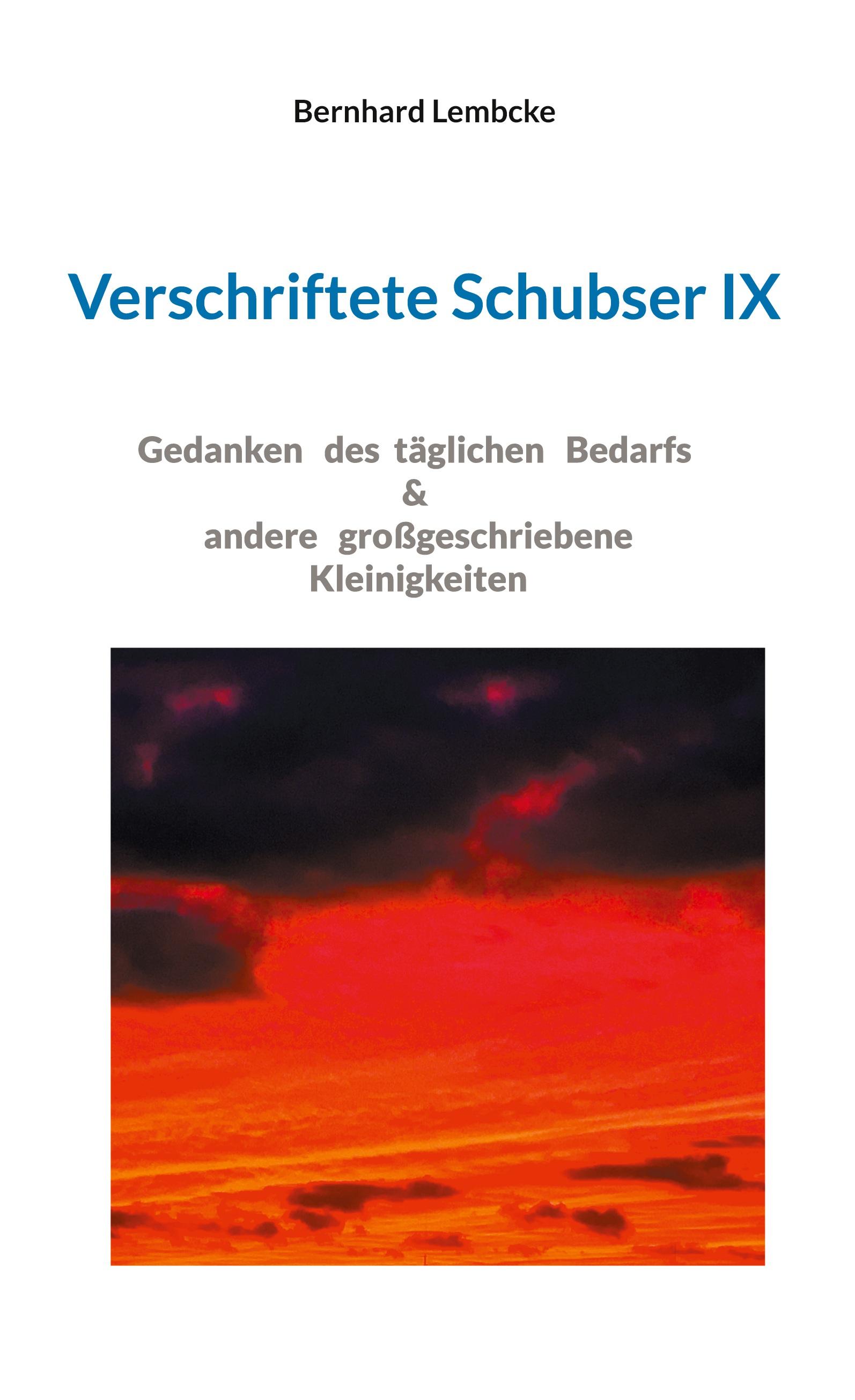 Vorderes Coverbild Verschriftete Schubser IX