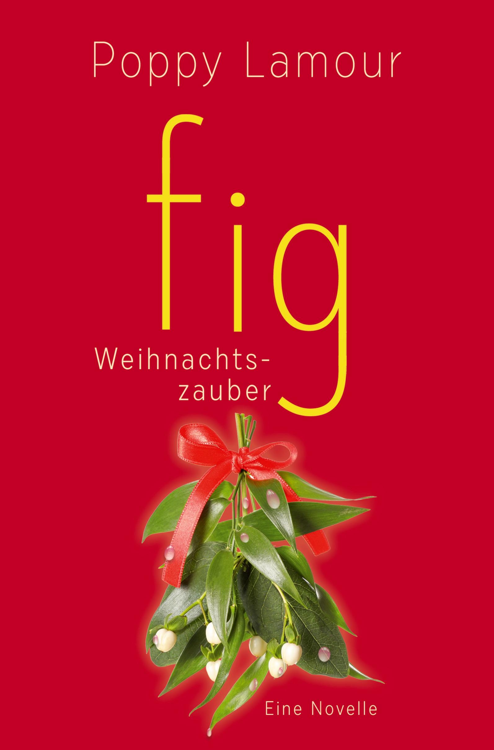 Vorderes Coverbild fig - Weihnachtszauber