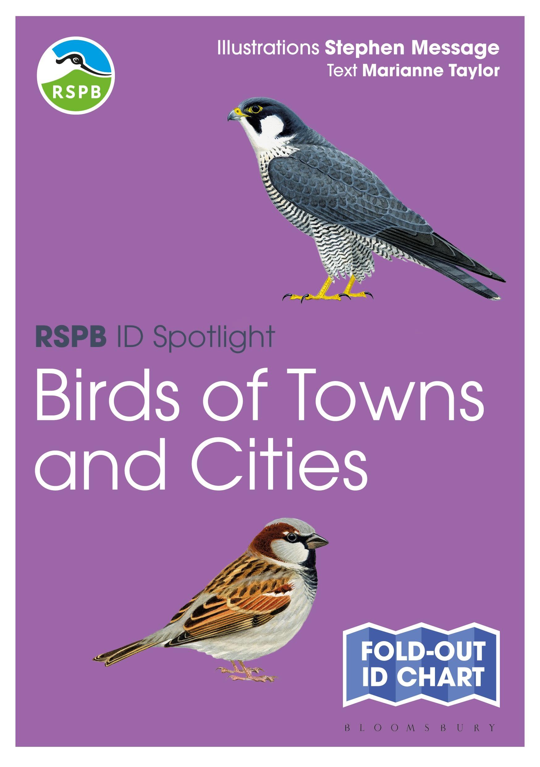 Vorderes Coverbild RSPB ID Spotlight - Birds of Towns and Cities