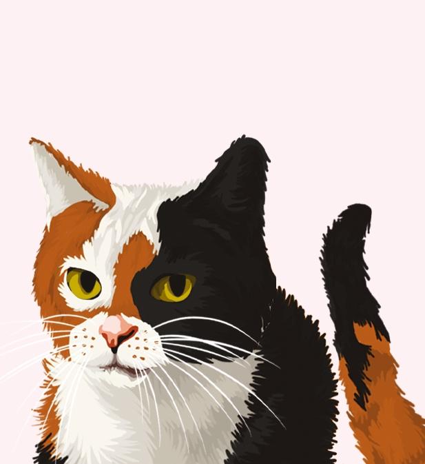 Autorenbild The Cat Who Solved Three Murders