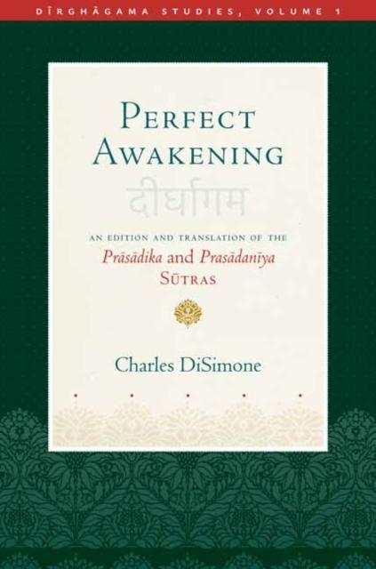 Vorderes Coverbild Perfect Awakening