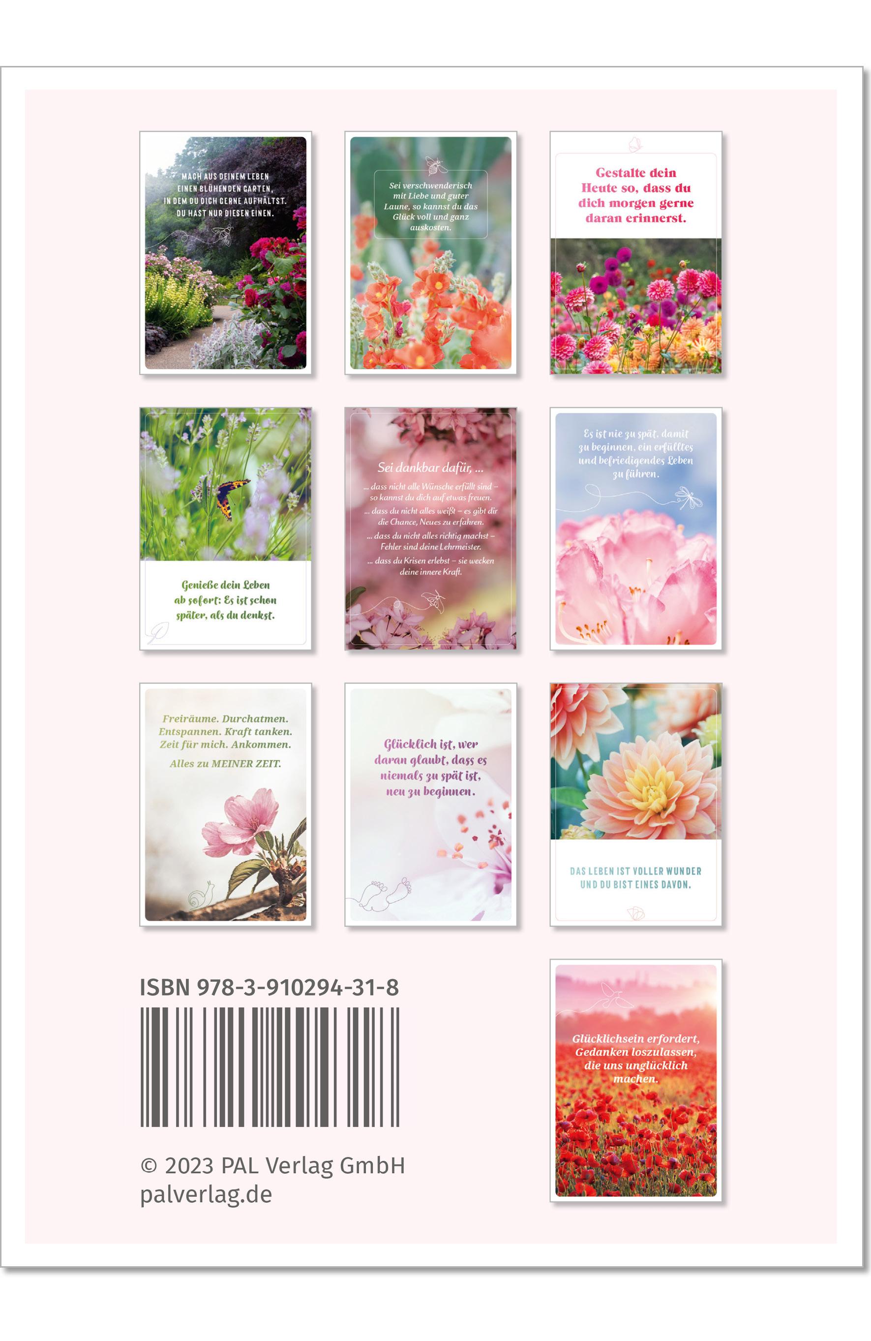 Beispielinhalt (Bild) Die Lebensfreude-Postkarten. Genieße dein Leben