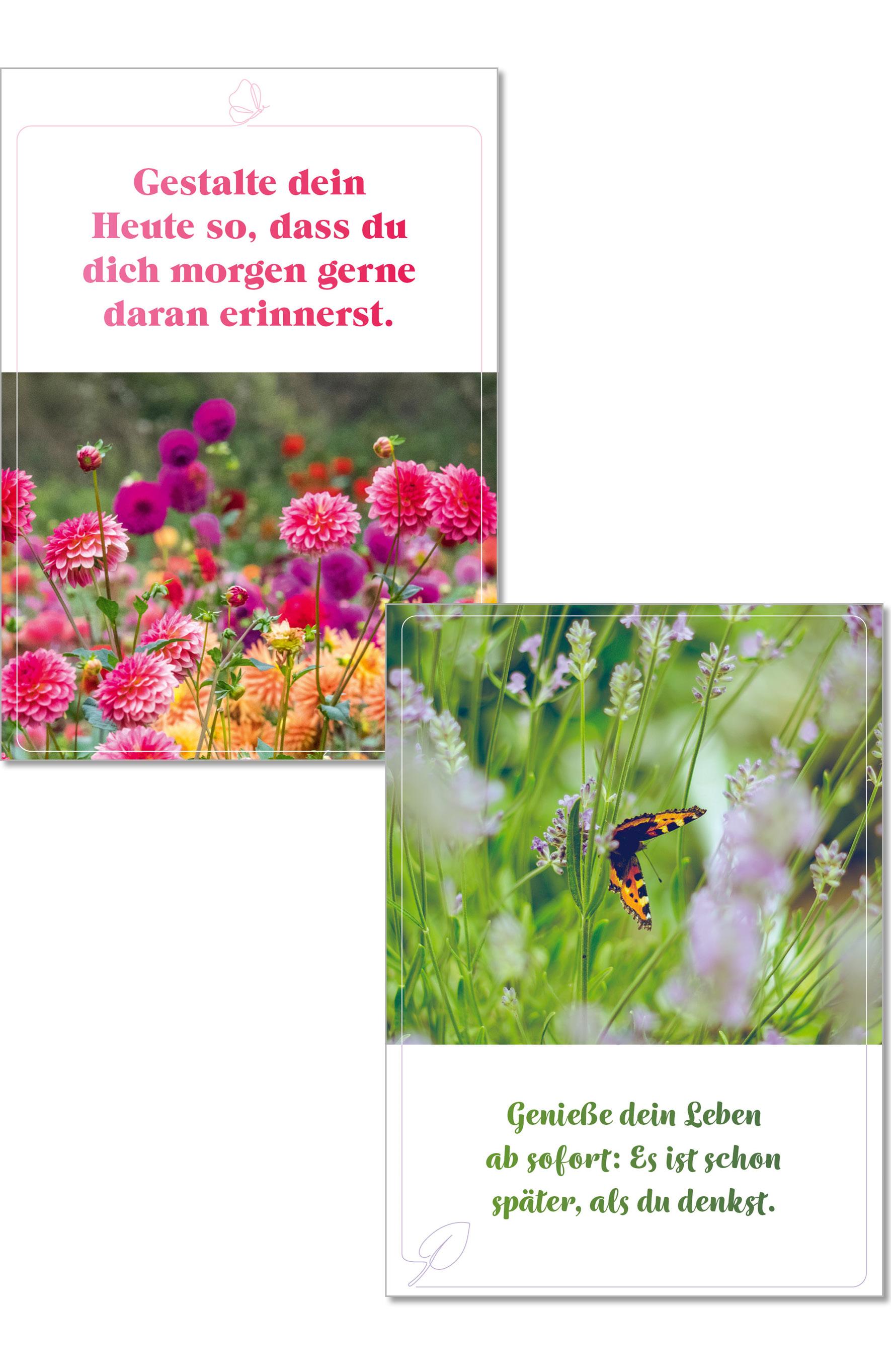 Beispielinhalt (Bild) Die Lebensfreude-Postkarten. Genieße dein Leben