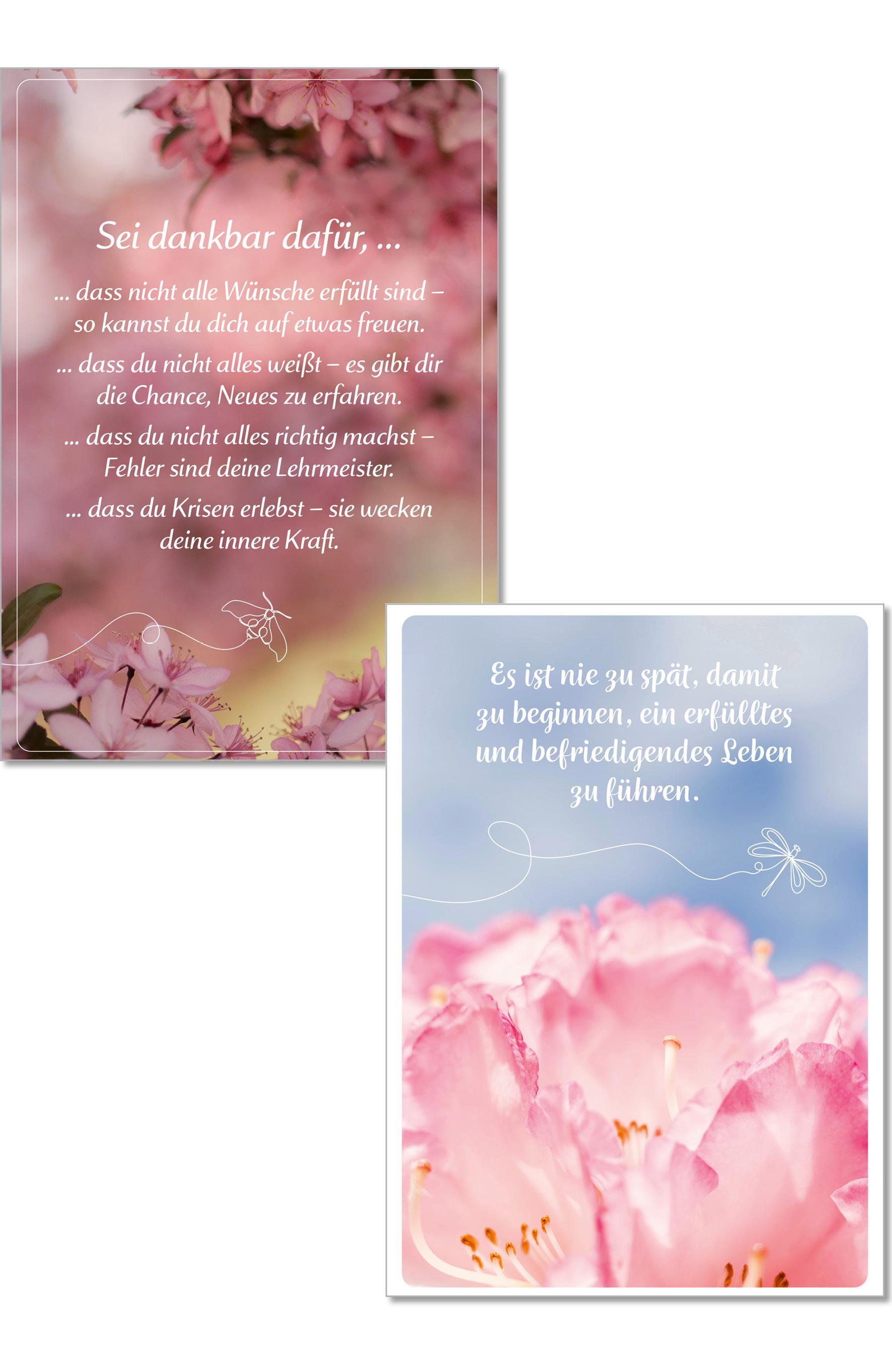 Beispielinhalt (Bild) Die Lebensfreude-Postkarten. Genieße dein Leben