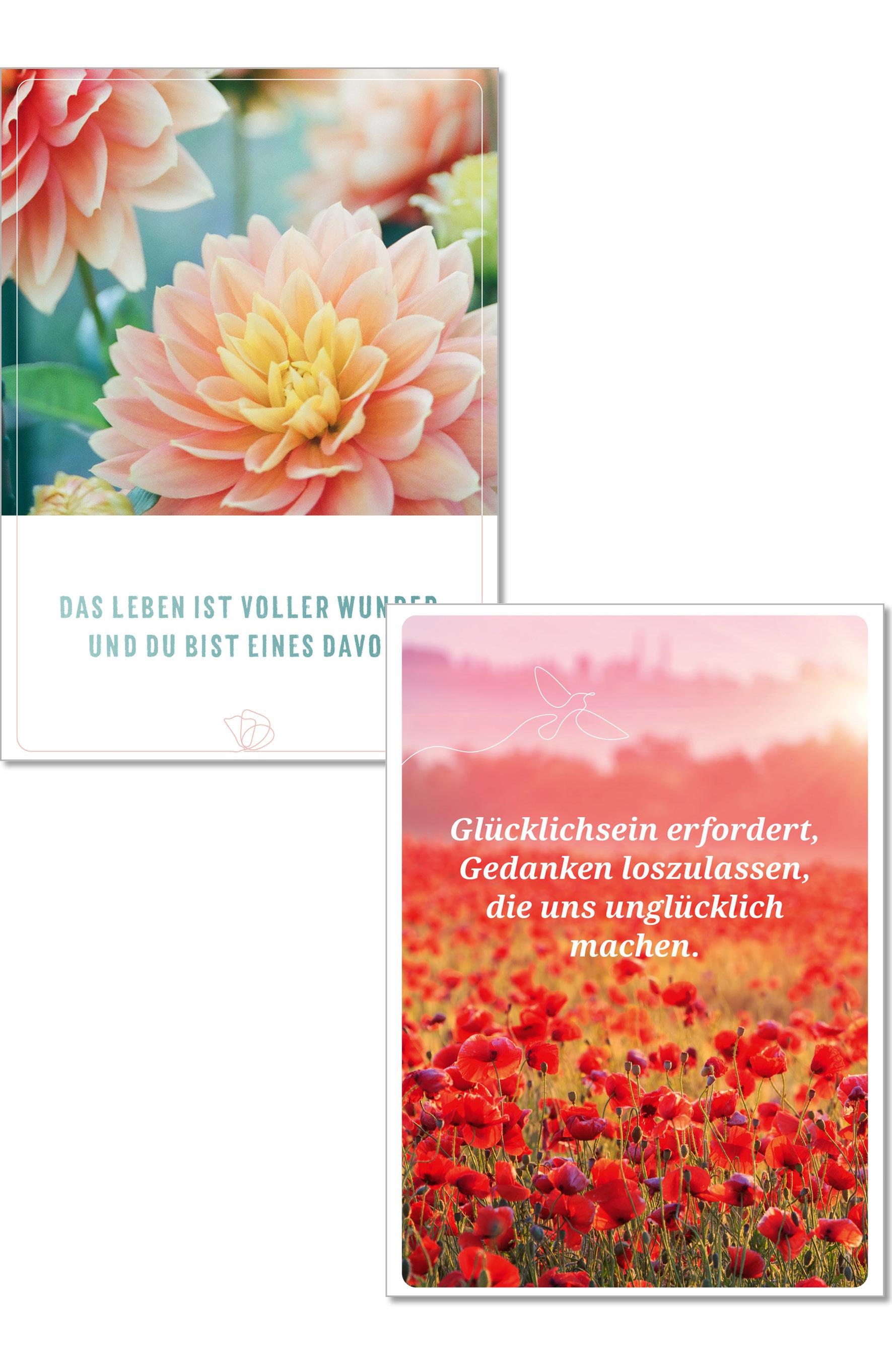 Beispielinhalt (Bild) Die Lebensfreude-Postkarten. Genieße dein Leben