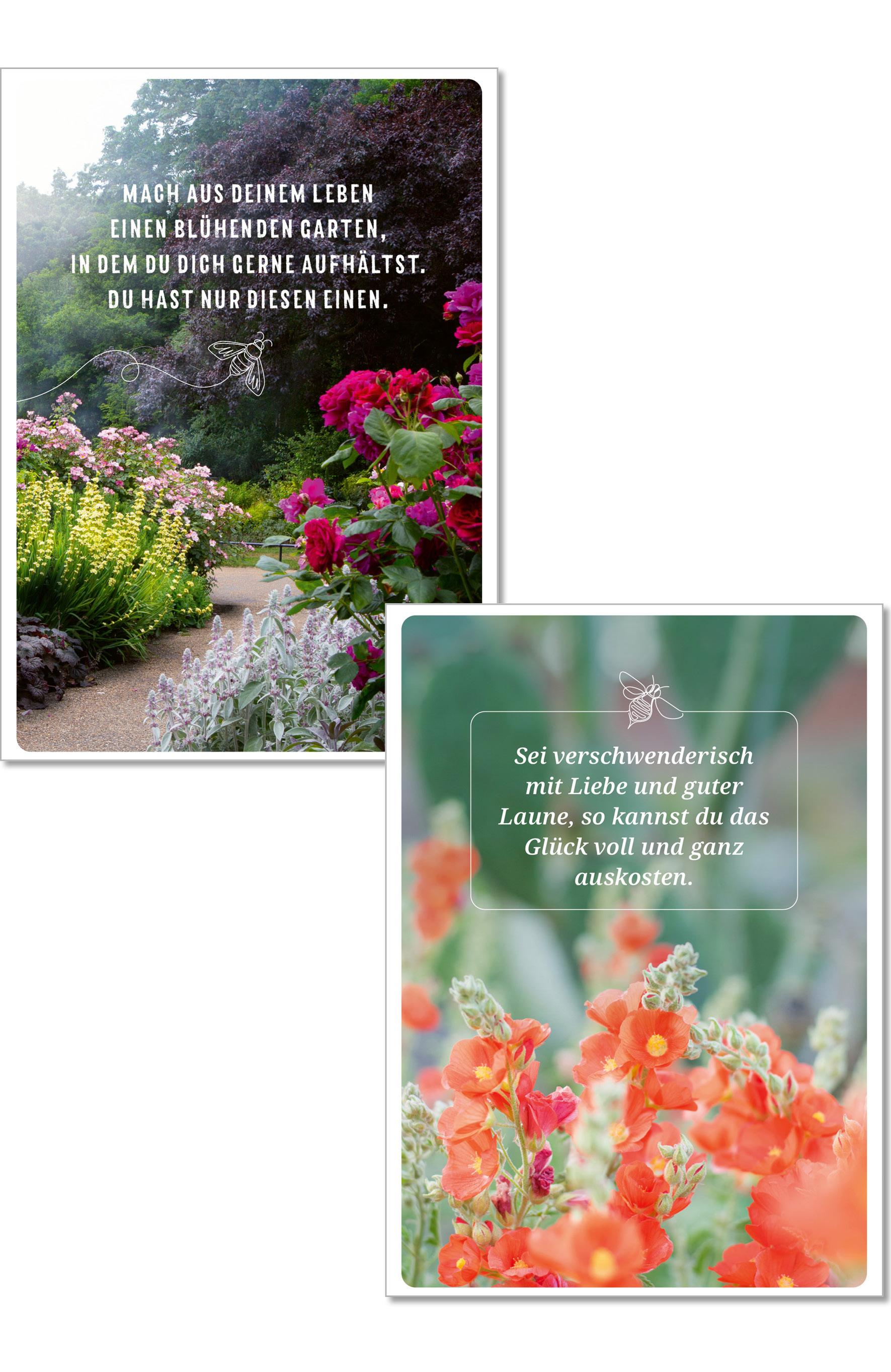 Beispielinhalt (Bild) Die Lebensfreude-Postkarten. Genieße dein Leben