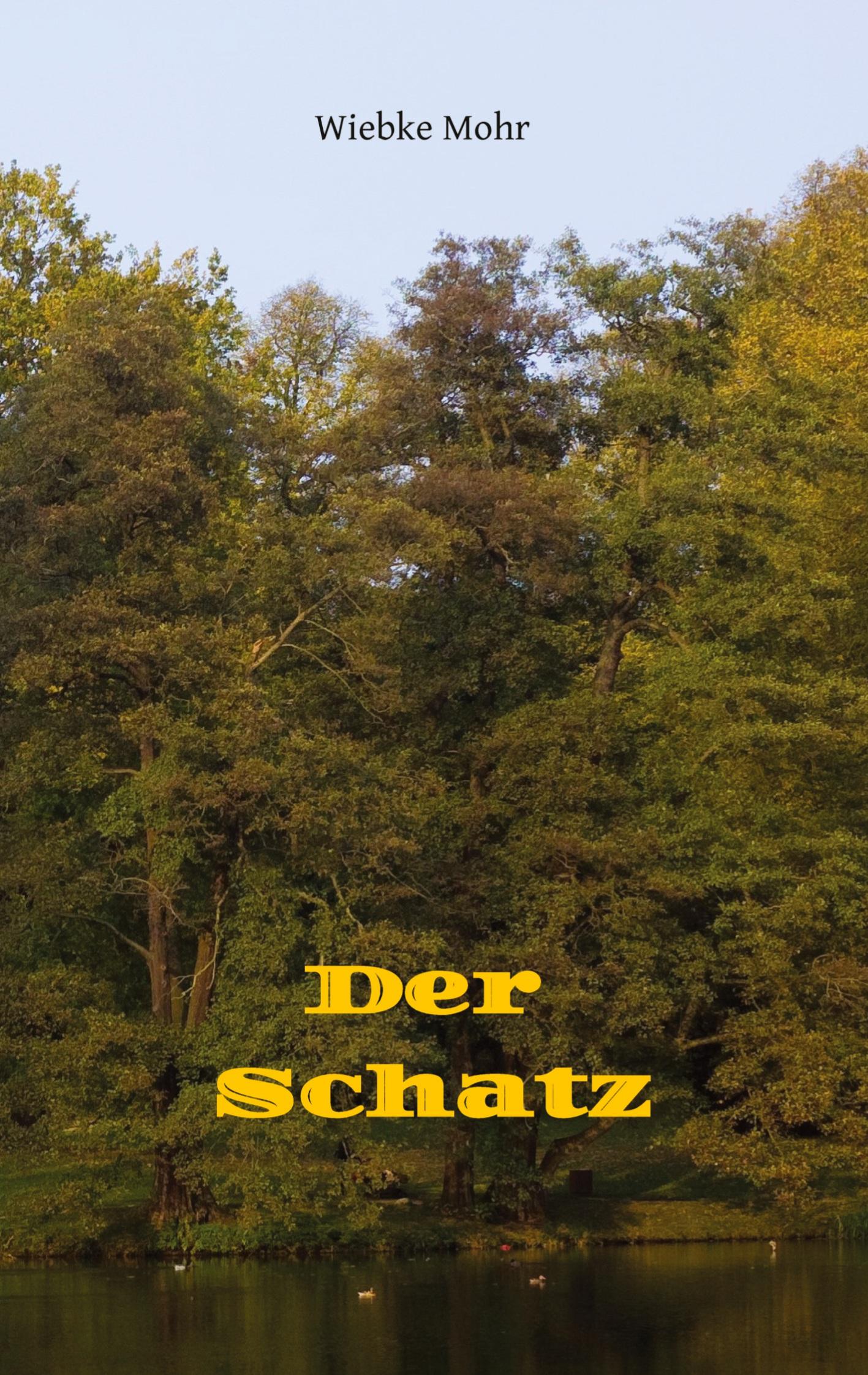 Vorderes Coverbild Der Schatz