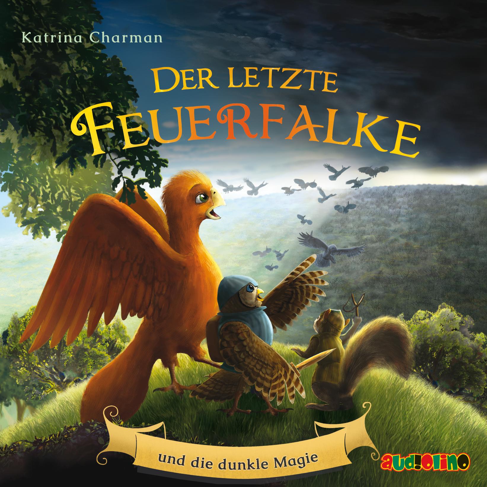 Vorderes Coverbild Der letzte Feuerfalke und die dunkle Magie