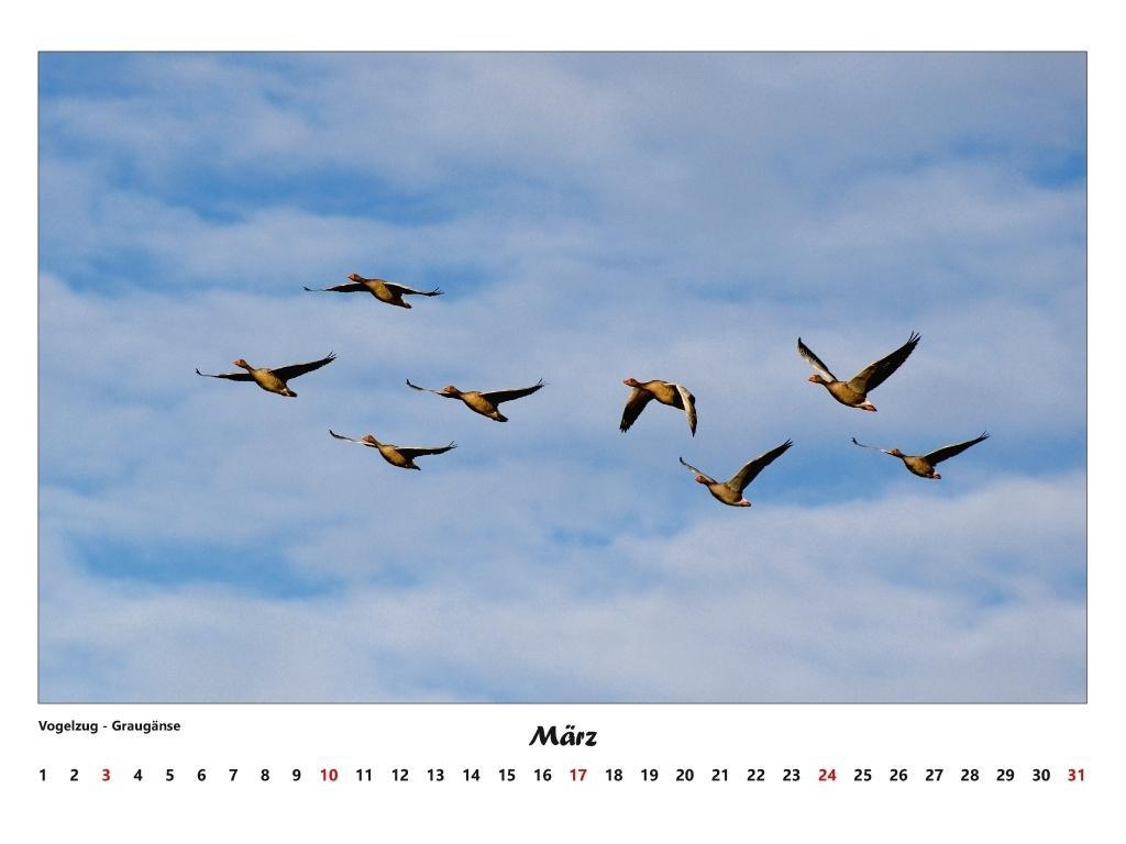 Beispielinhalt (Bild) Rügen 2025