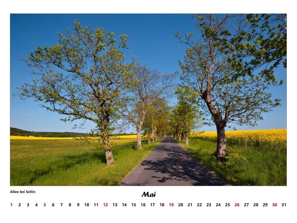 Beispielinhalt (Bild) Rügen 2025