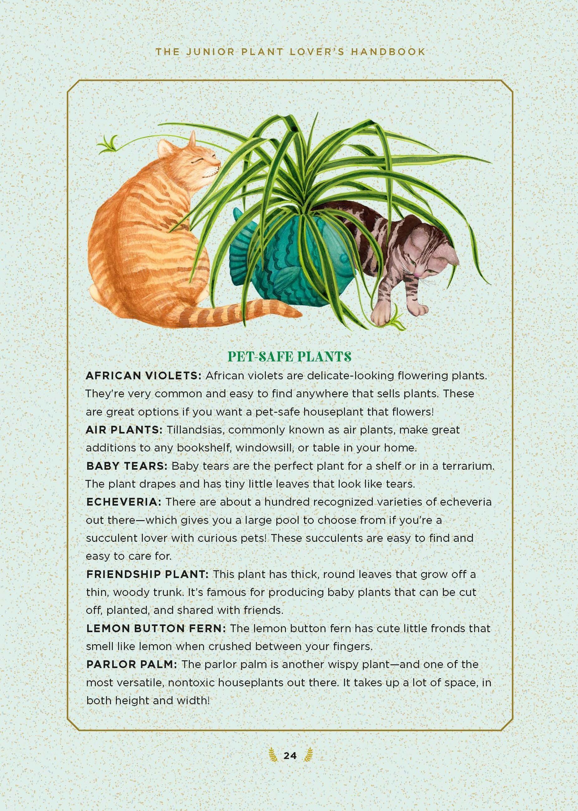 Beispielinhalt (Bild) The Junior Plant Lover's Handbook