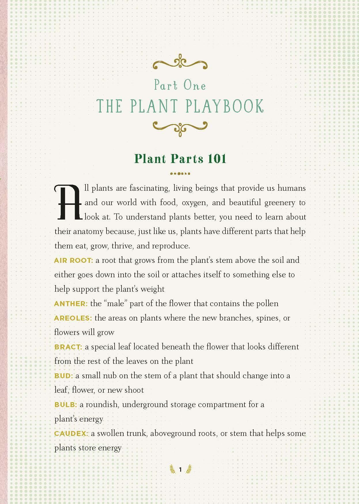 Beispielinhalt (Bild) The Junior Plant Lover's Handbook