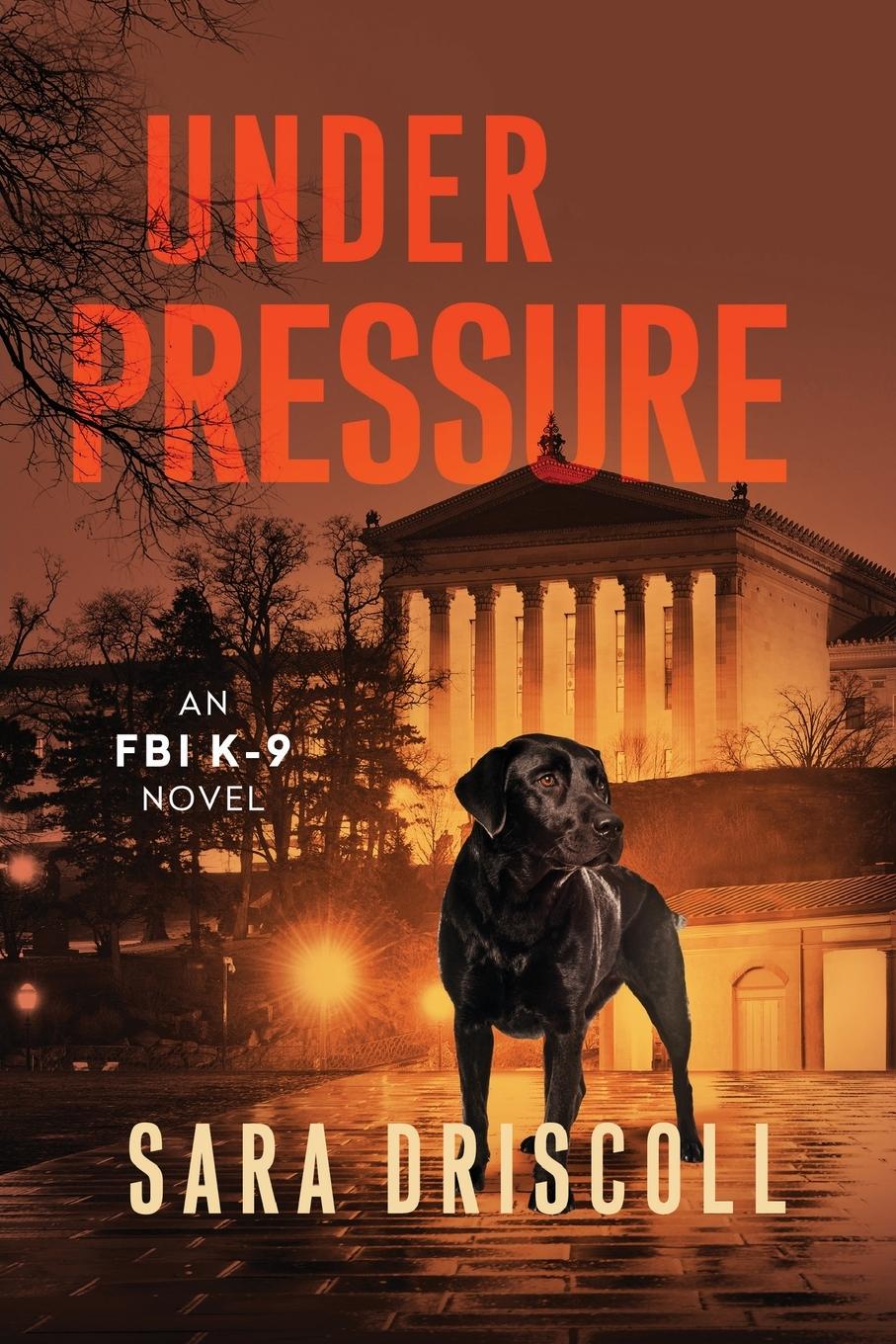 Vorderes Coverbild Under Pressure